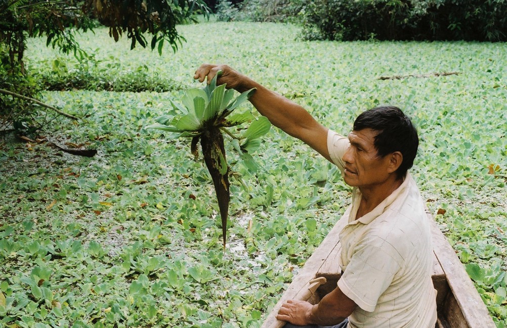 Tarapoto Yurimaguas Lagunas