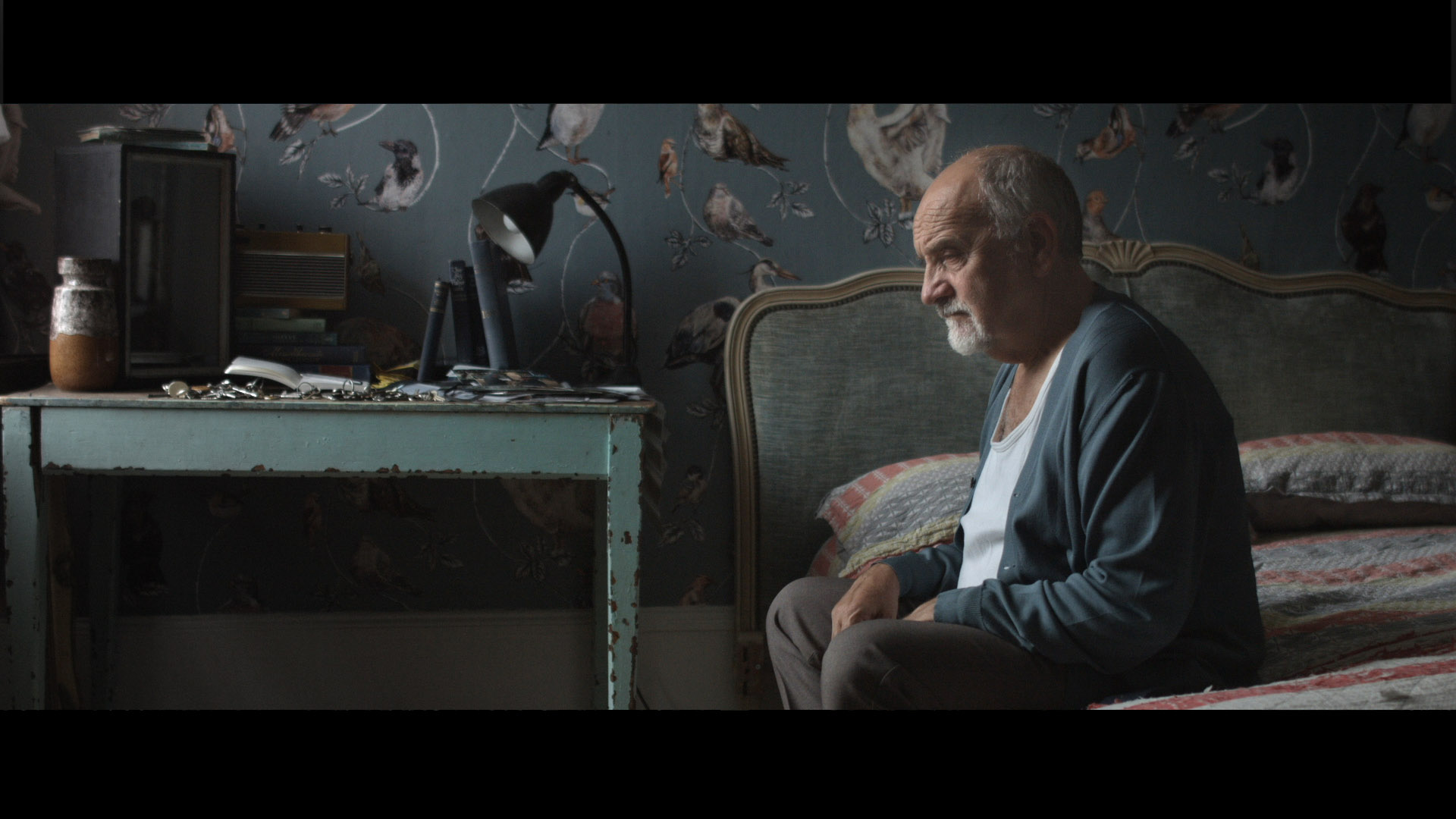 Everyday Stories of Colossal Importance