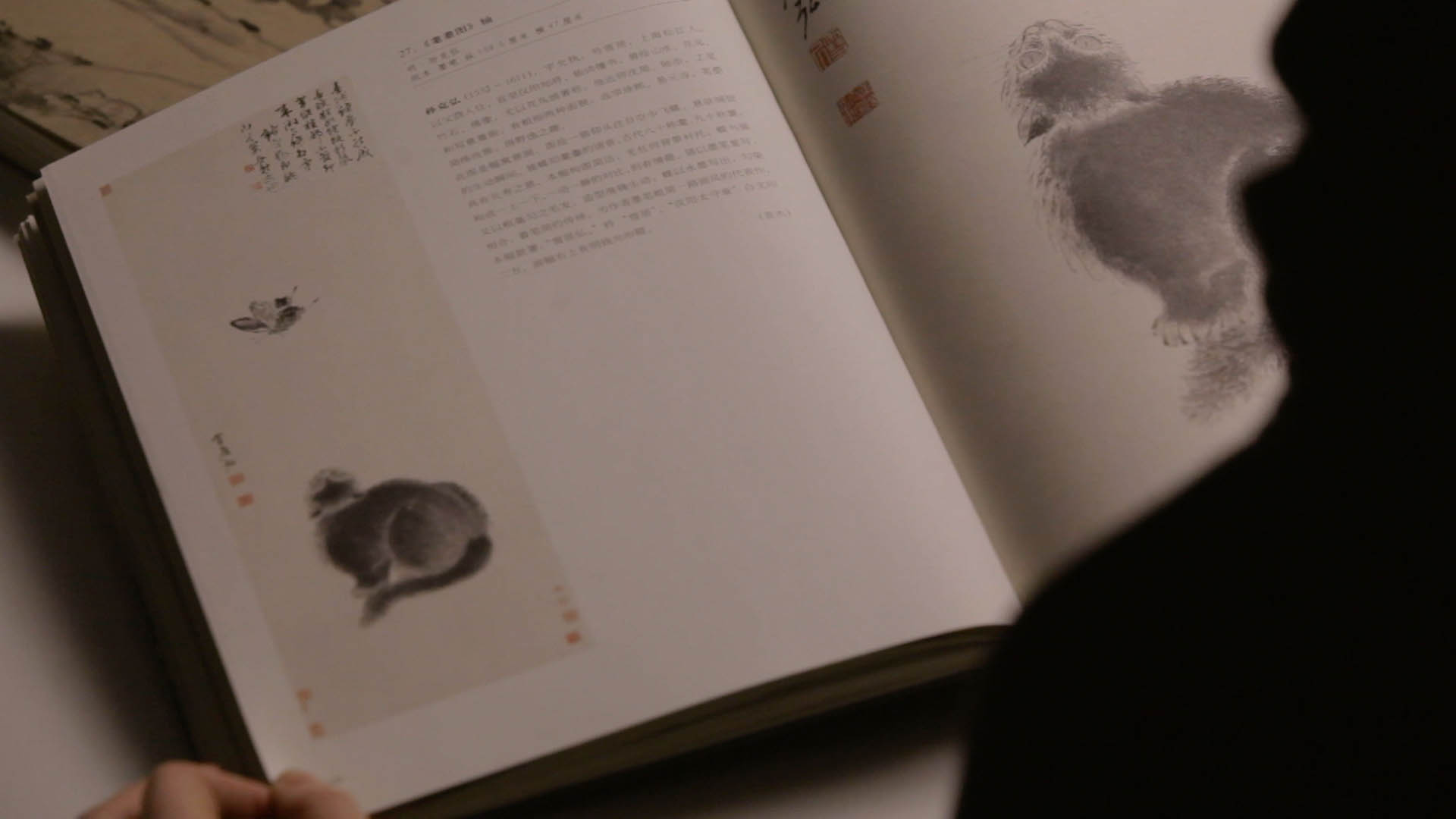 Lettre à un petit nuage du Royaume de Belgique