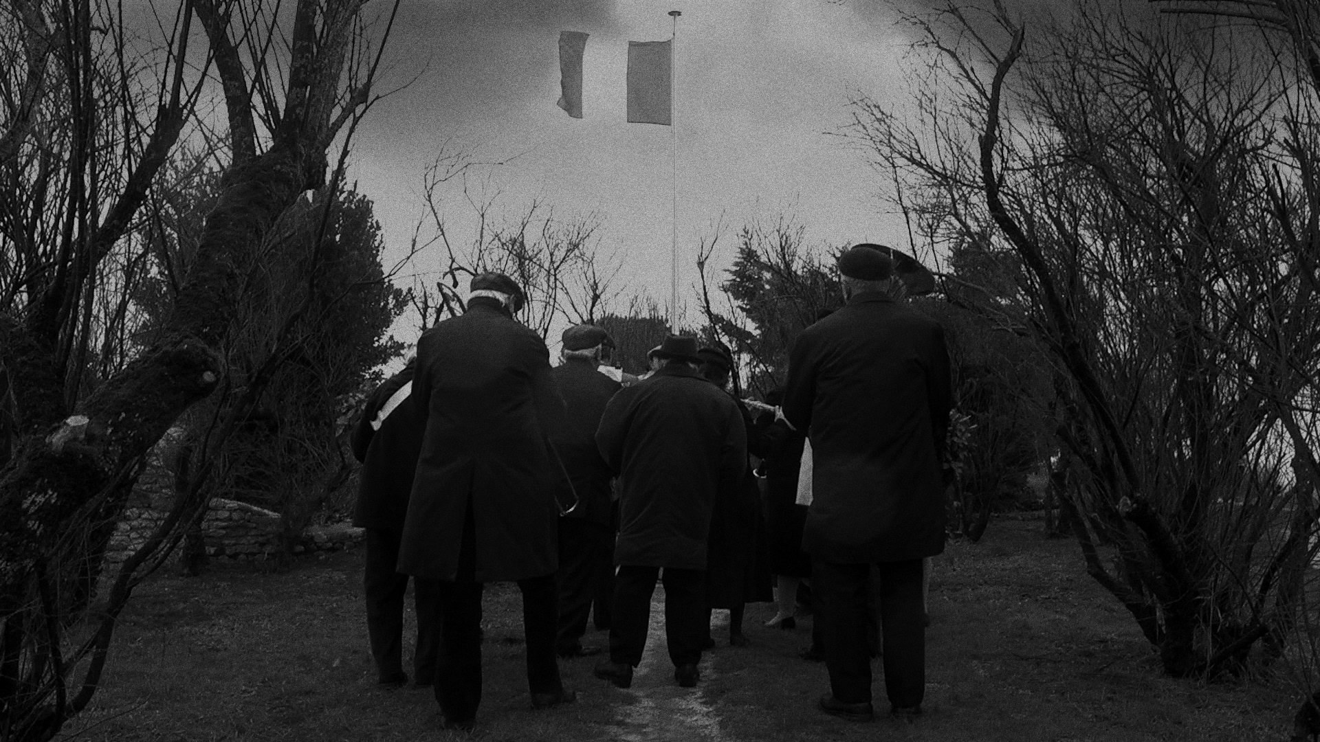 Collaboratrice horizontale