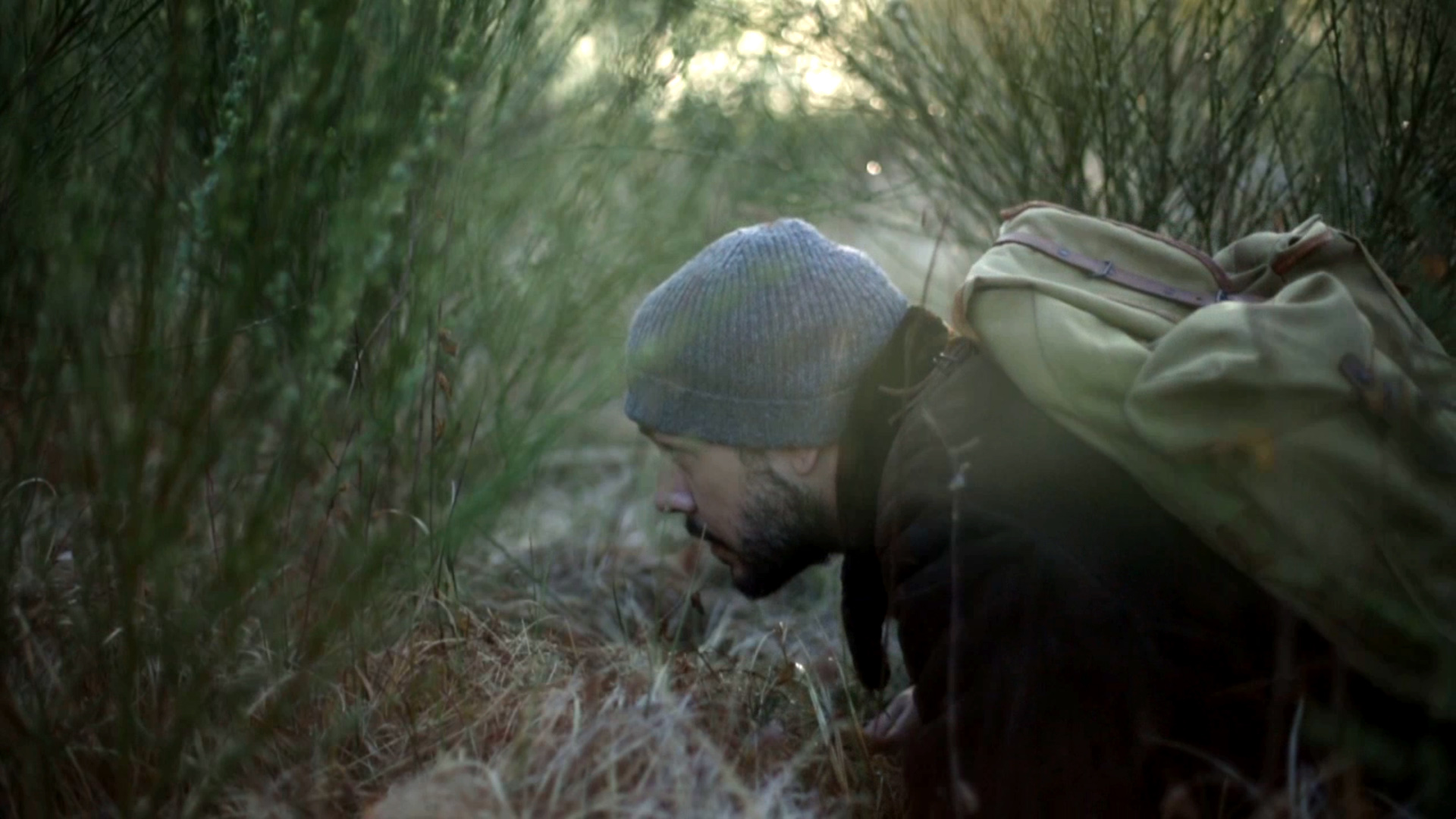 Brouillard définitif