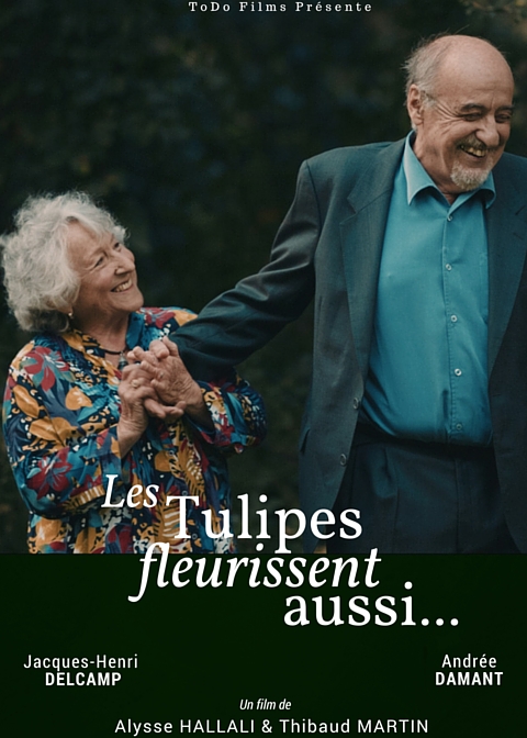 Tulipes fleurissent aussi