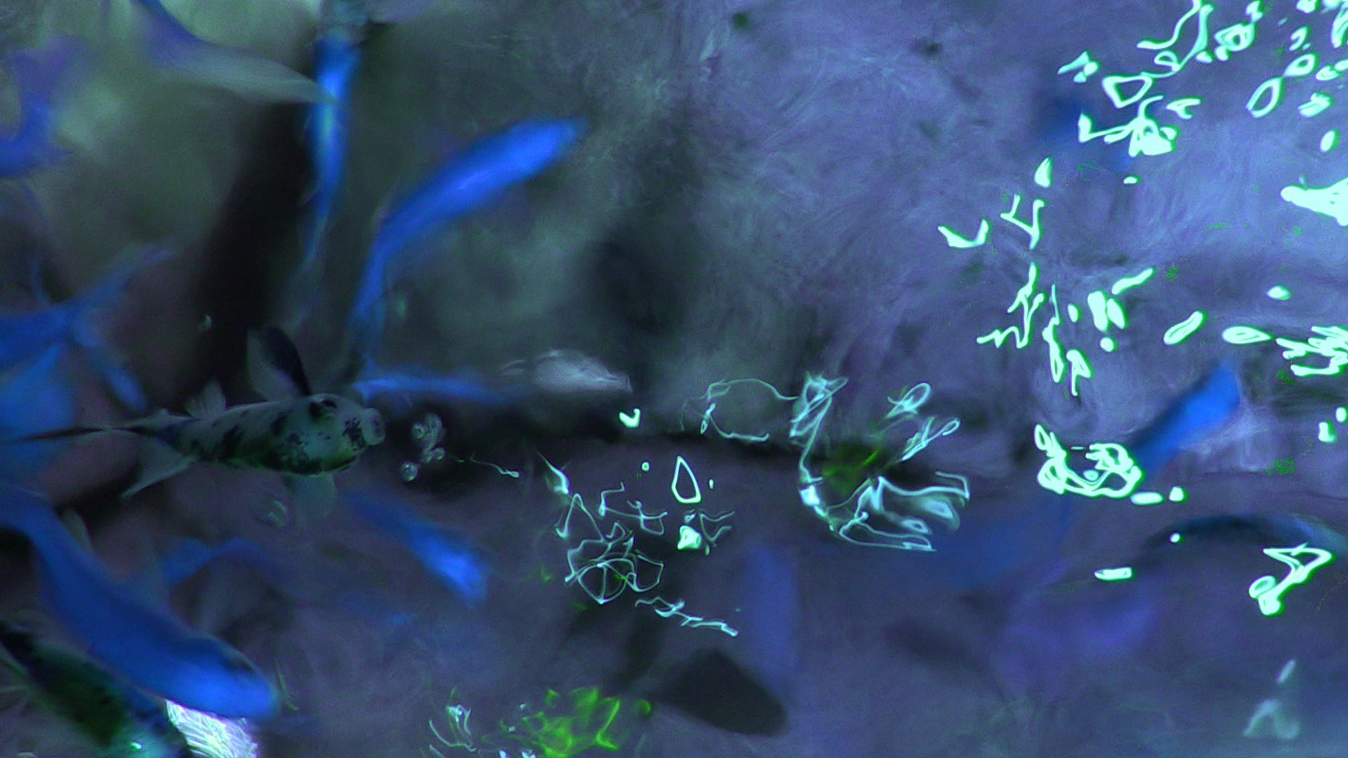 Eau dessous eau dessus