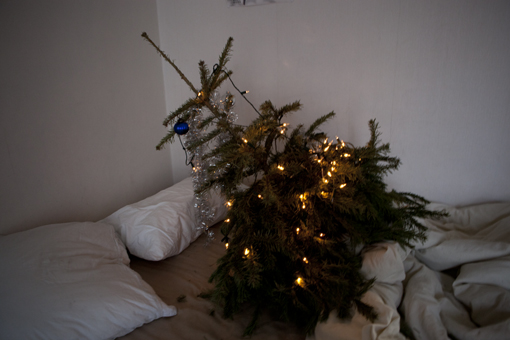 24 sapins par seconde