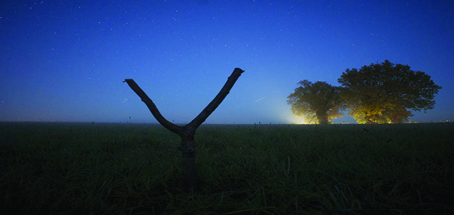 Stick (The Screenwriter's Revenge)