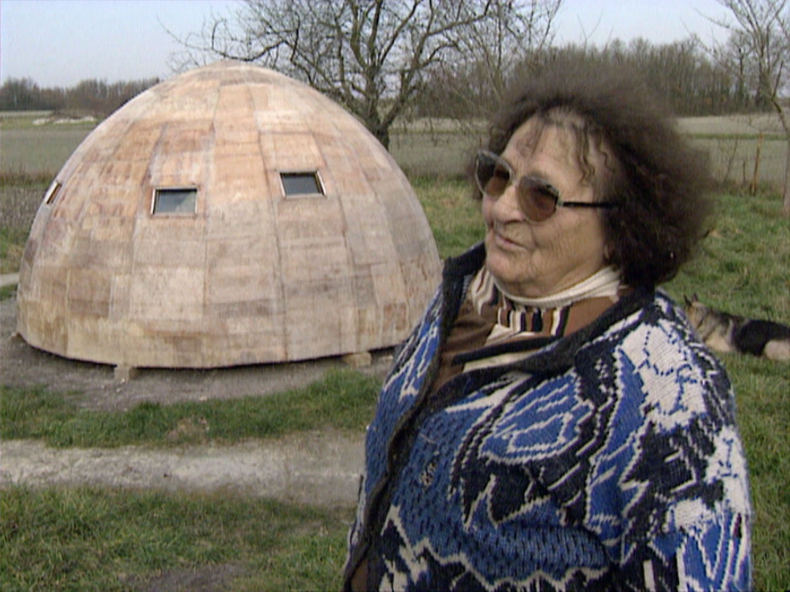 soucoupe et le perroquet