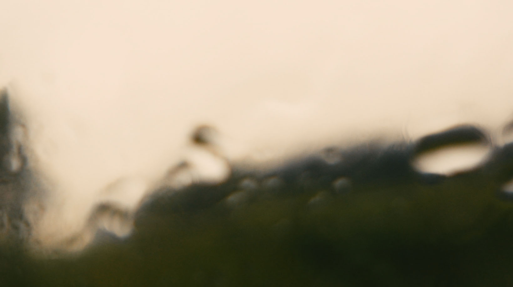 This fear of emptiness