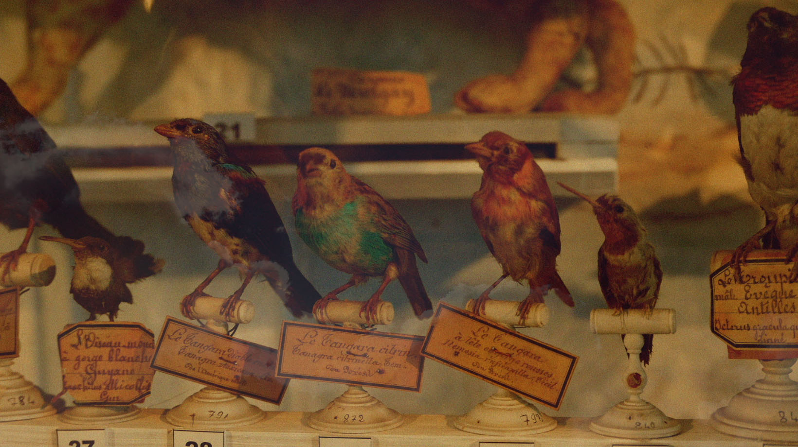 Like only lovers can