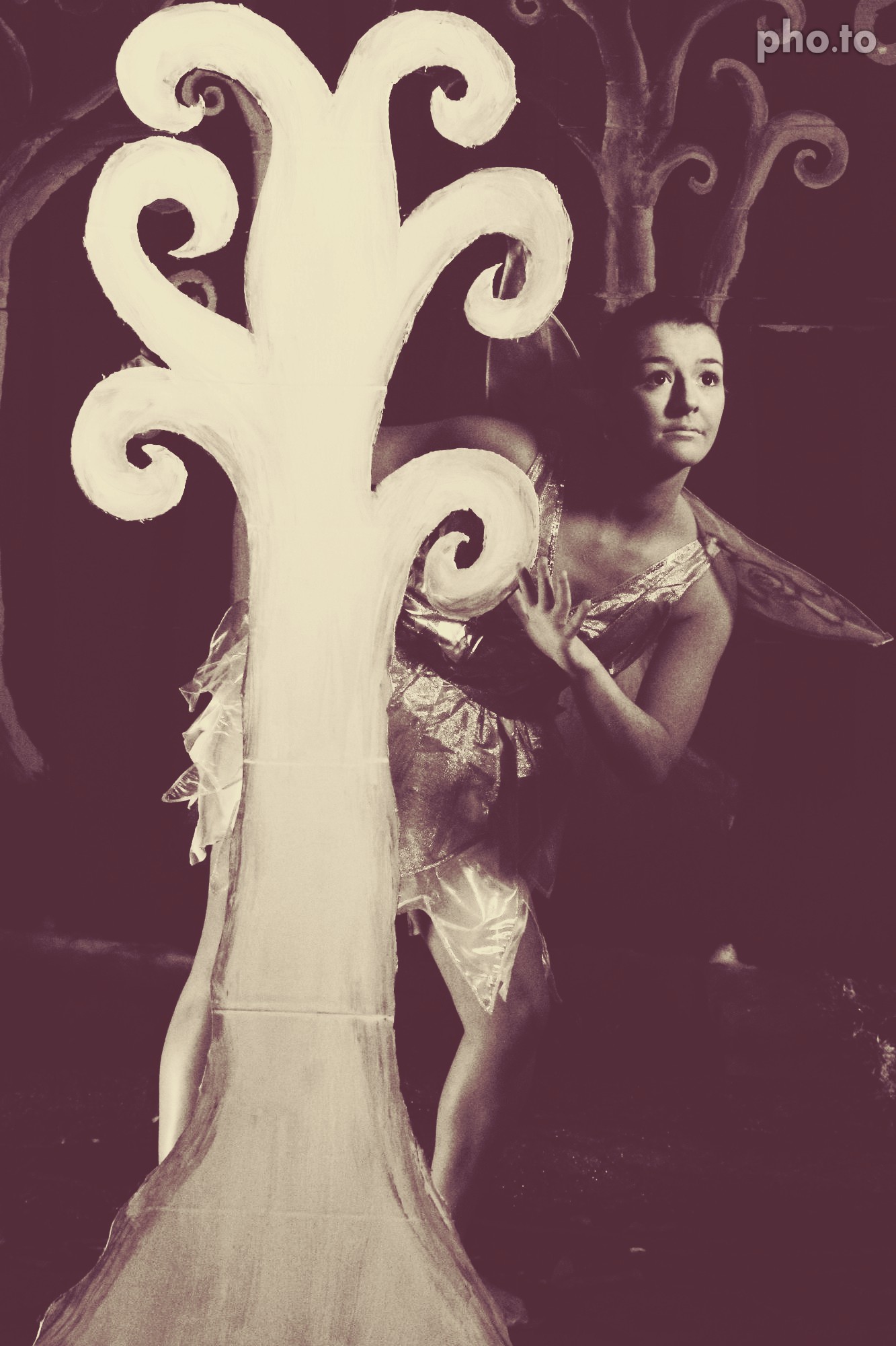 Histoire des larmes de la Princesse