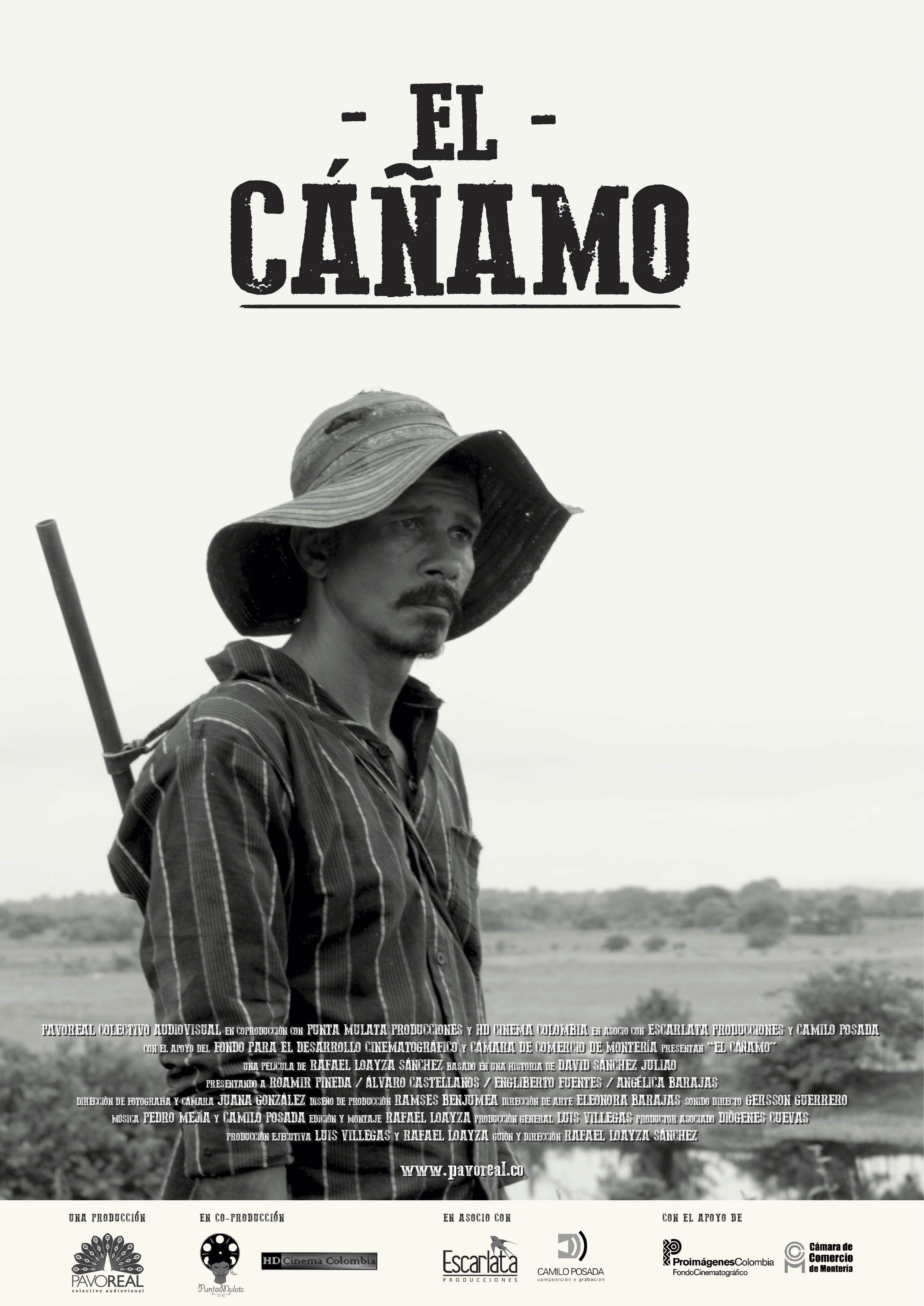 Cáñamo