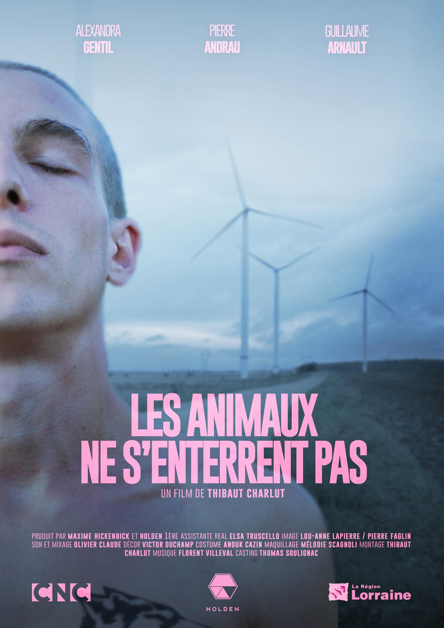 Animaux ne s'enterrent pas