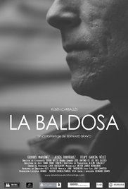 Baldosa
