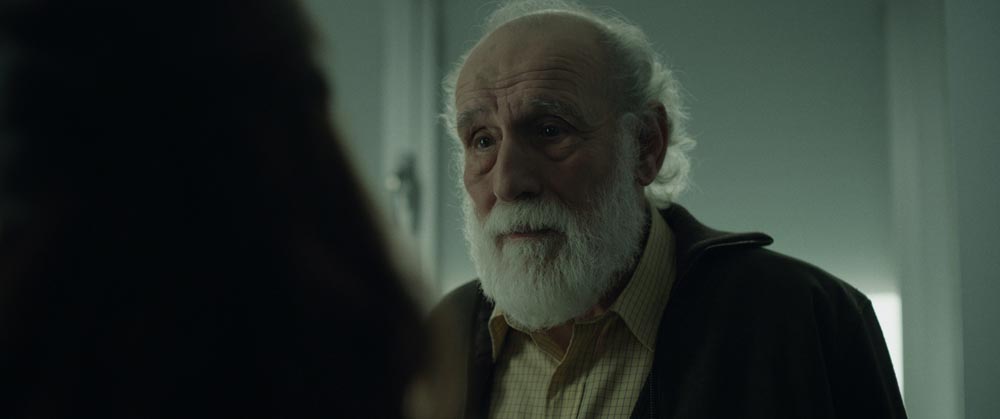 Donde caen las hojas