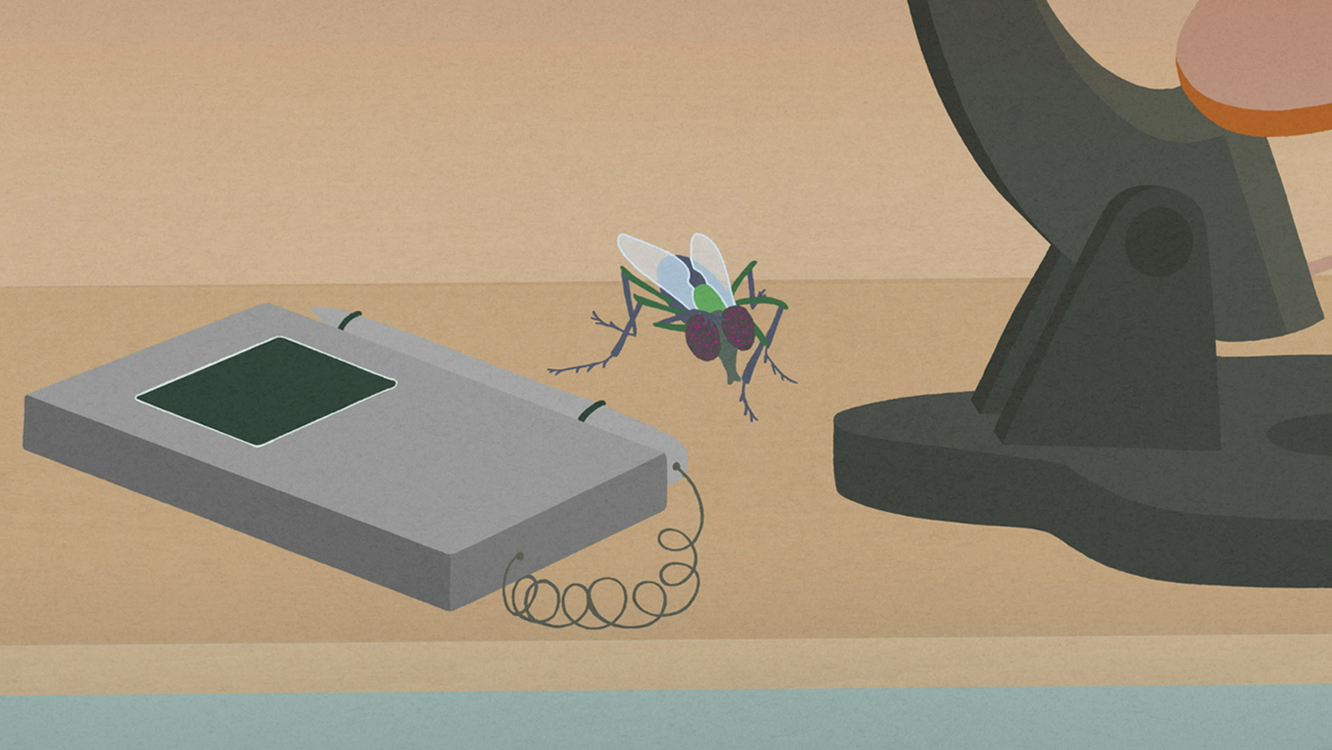 Siseilmadest väljas