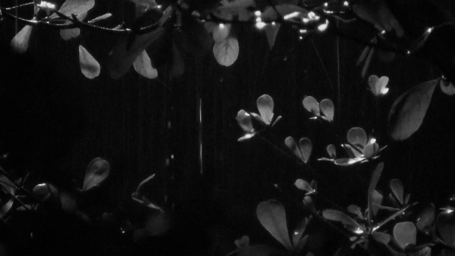 Meditation on Darkness