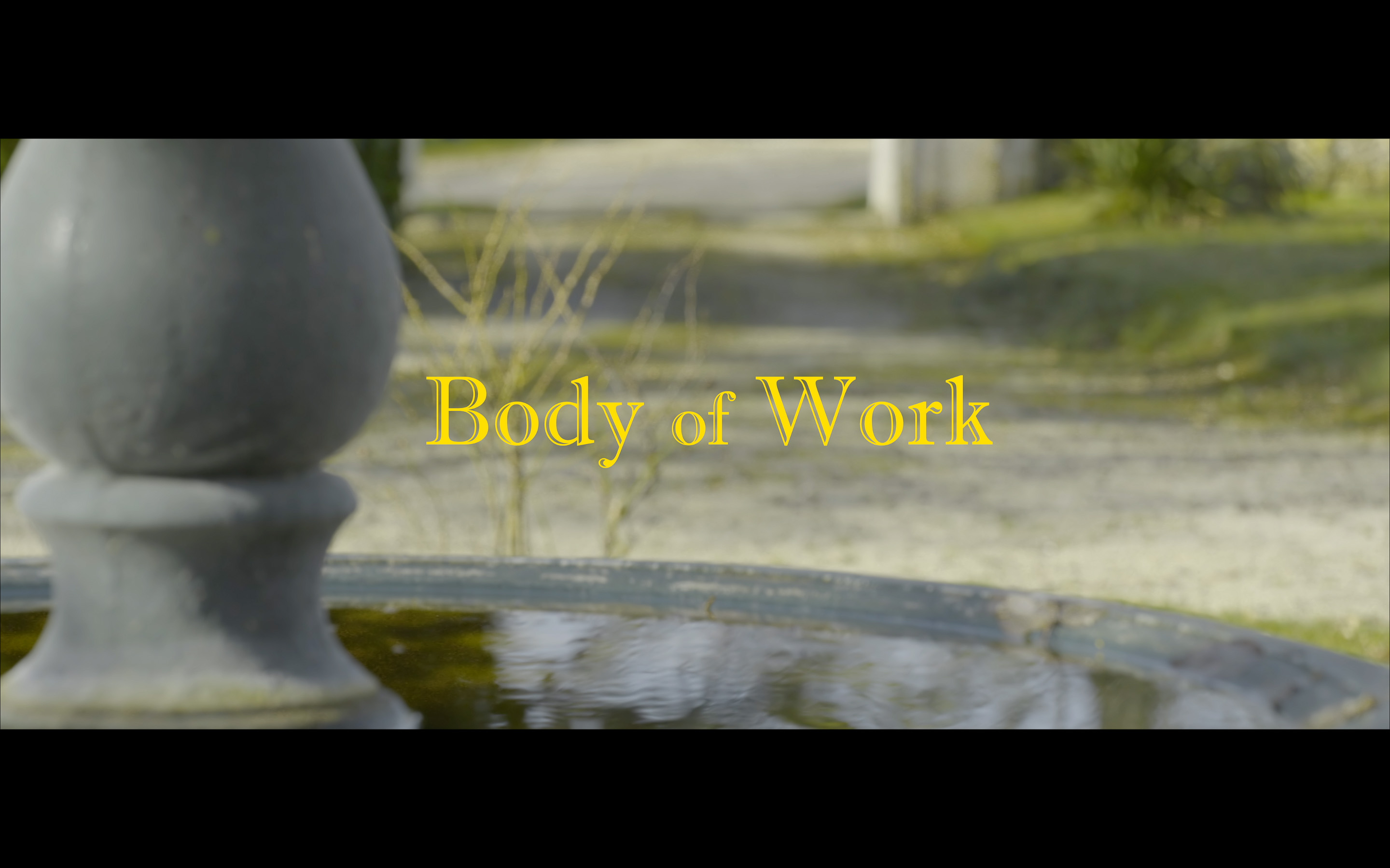 Body of work