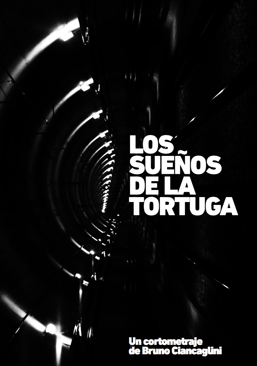 Sueños de la tortuga