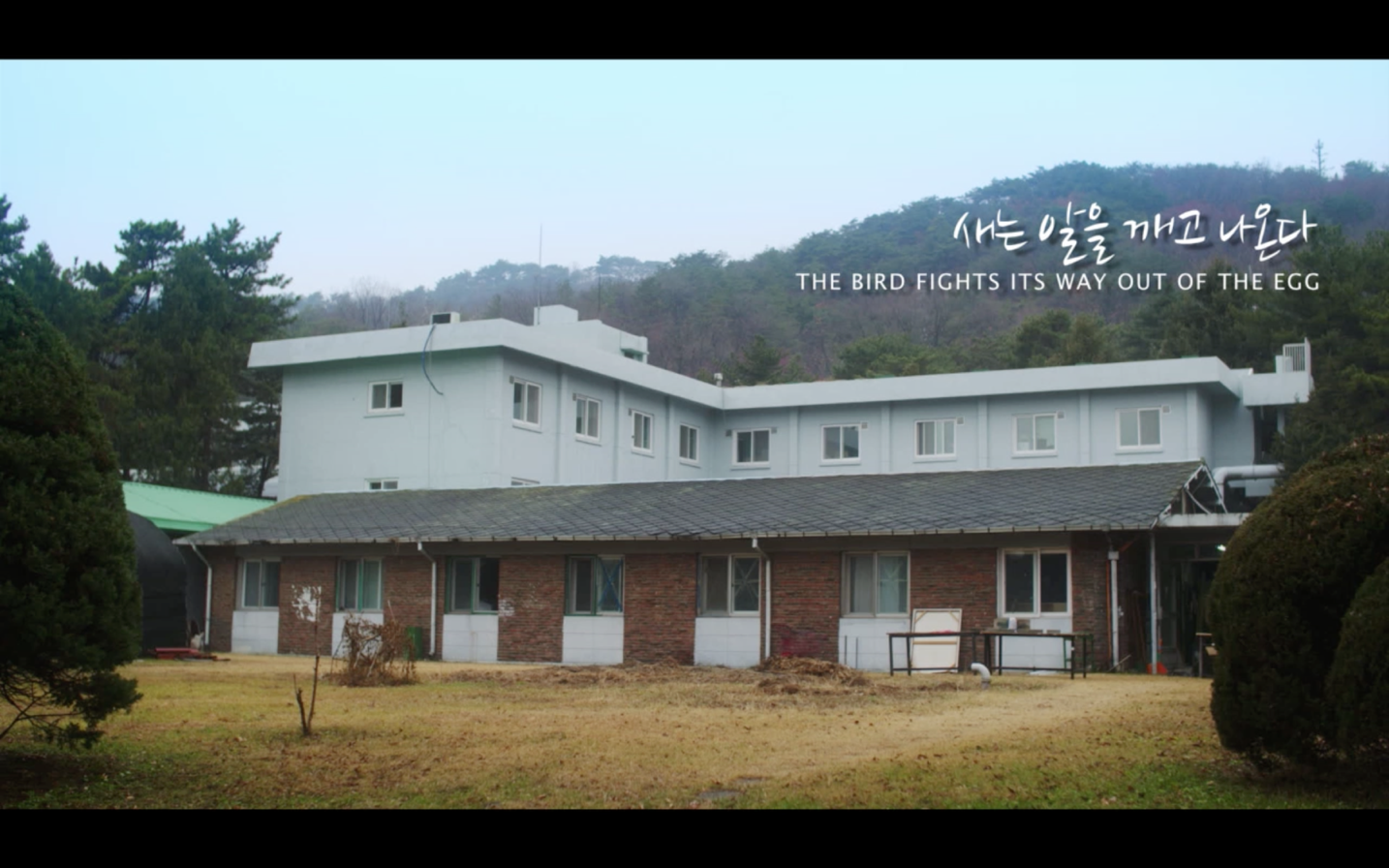 Bird fights its way out of the egg