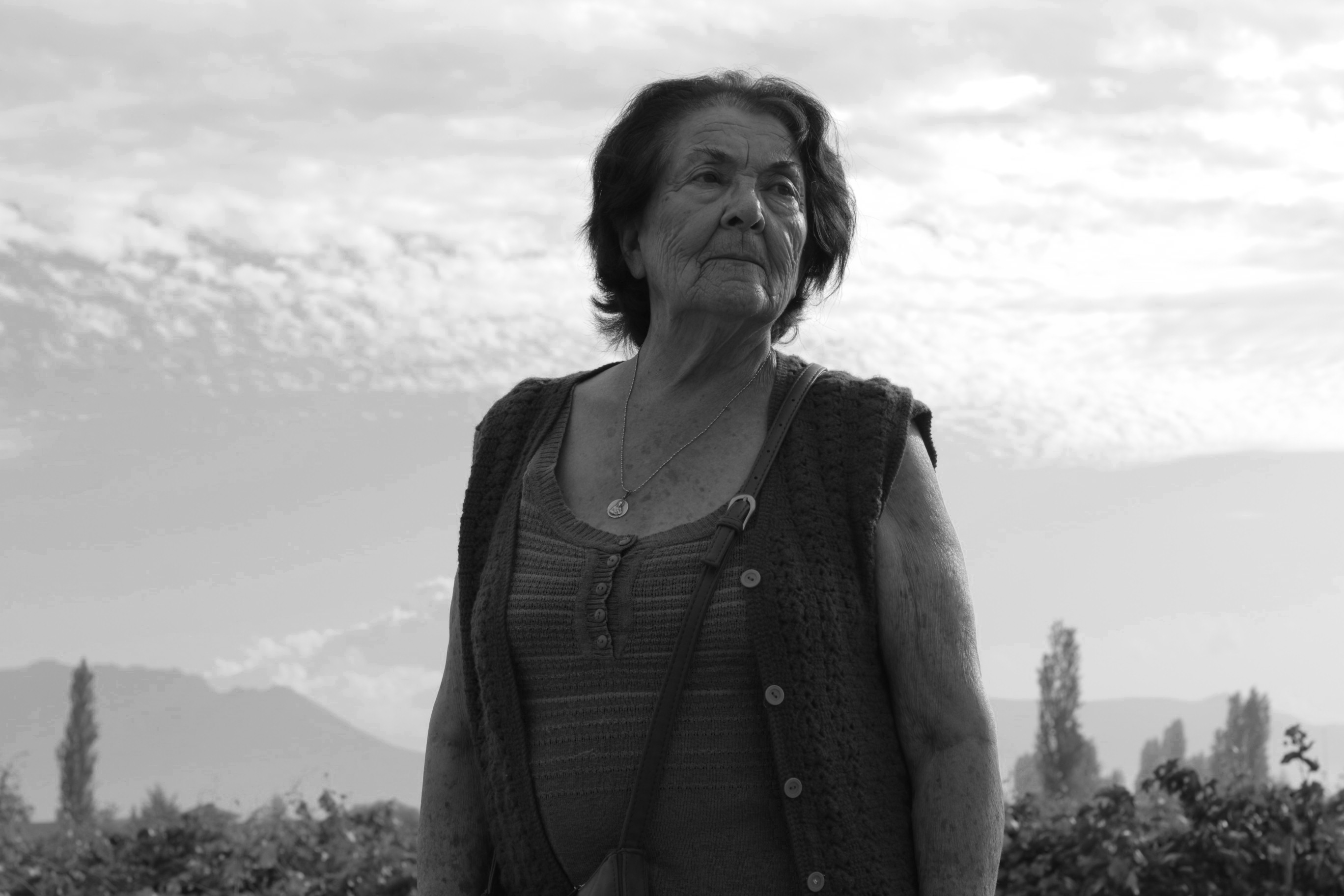 Y Todo el Cielo Cupo en el Ojo de la Vaca Muerta