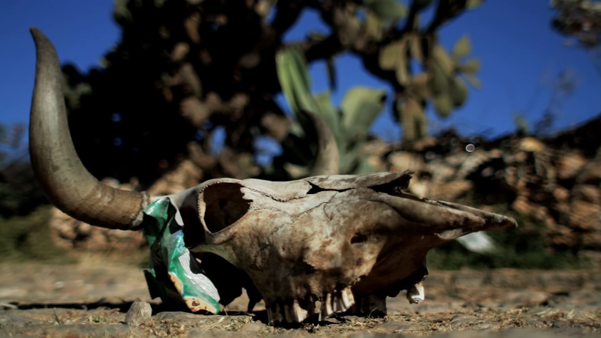 Once Uppon A Time In Mexico