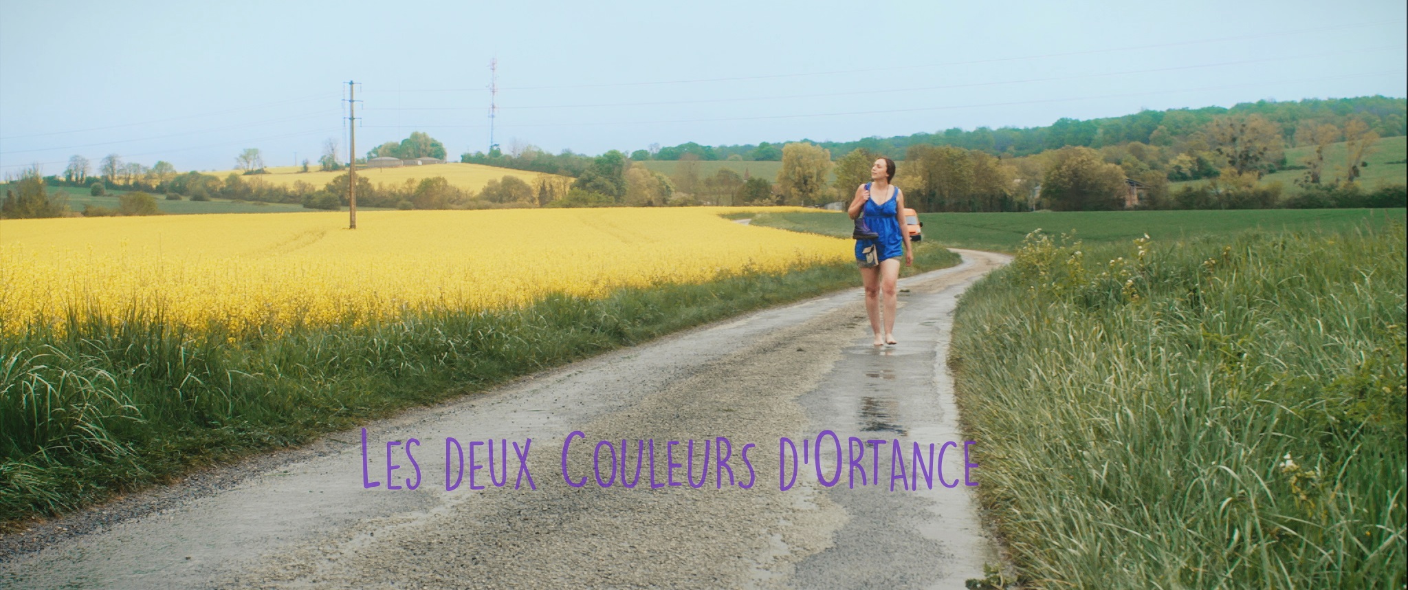 Deux couleurs d'Ortance