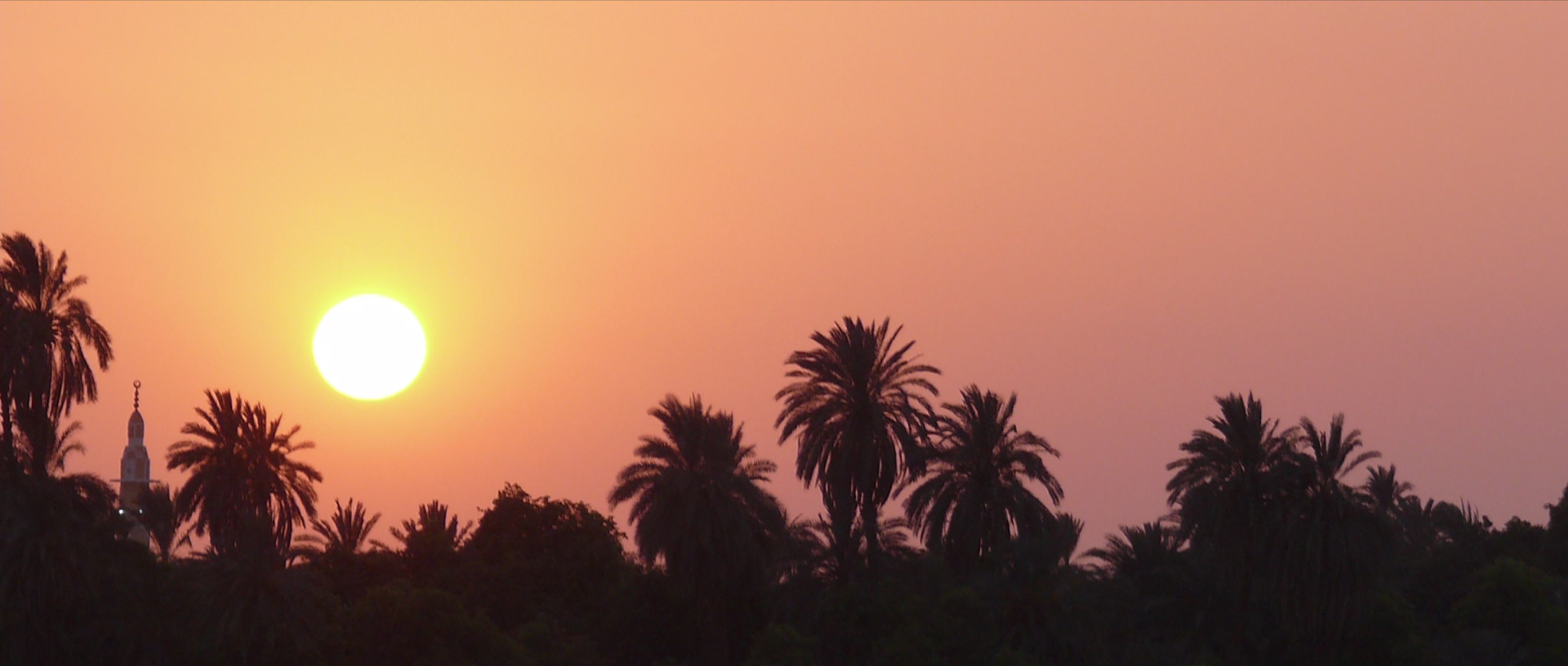 Un crocodile, s'il vous plait