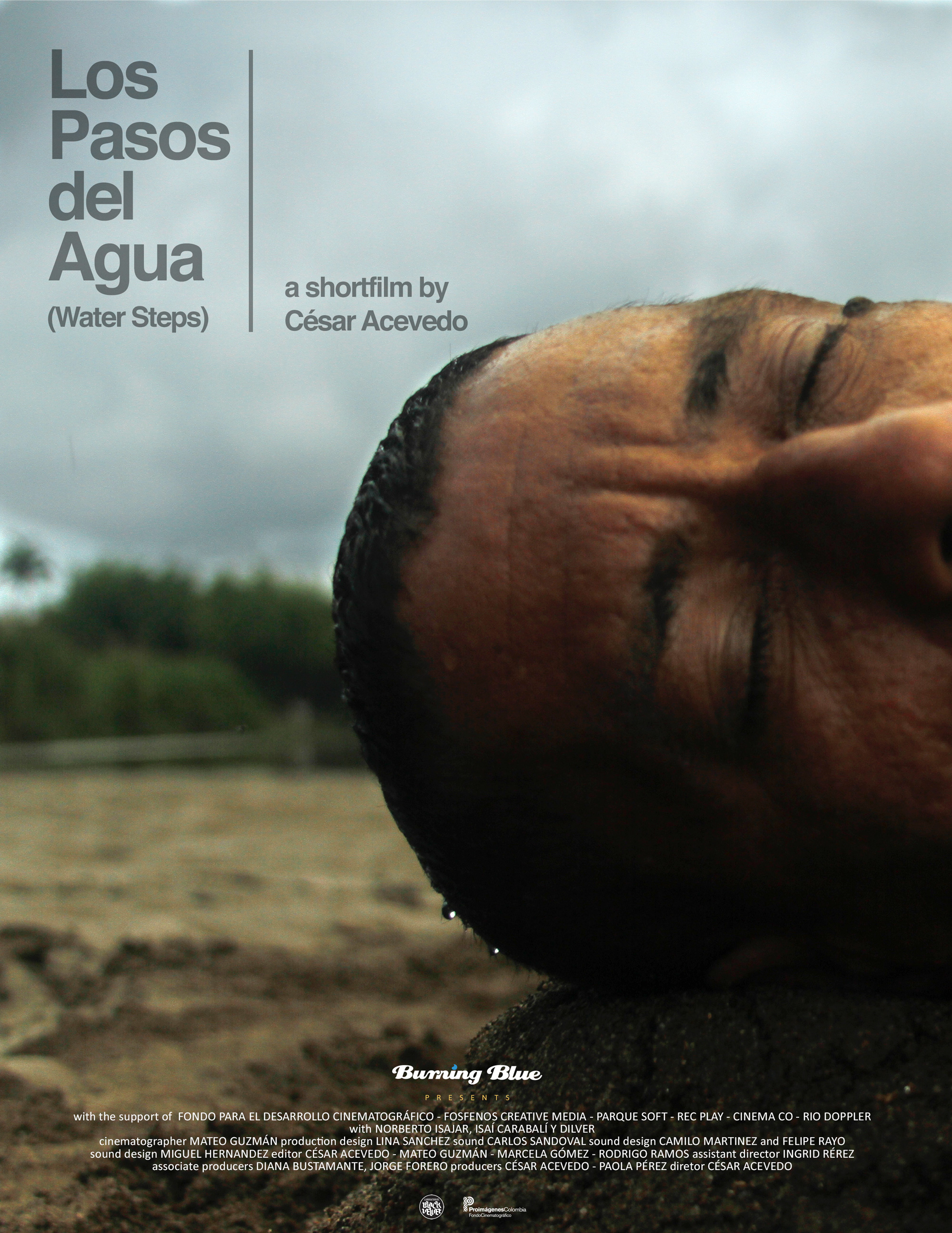 Pasos del agua