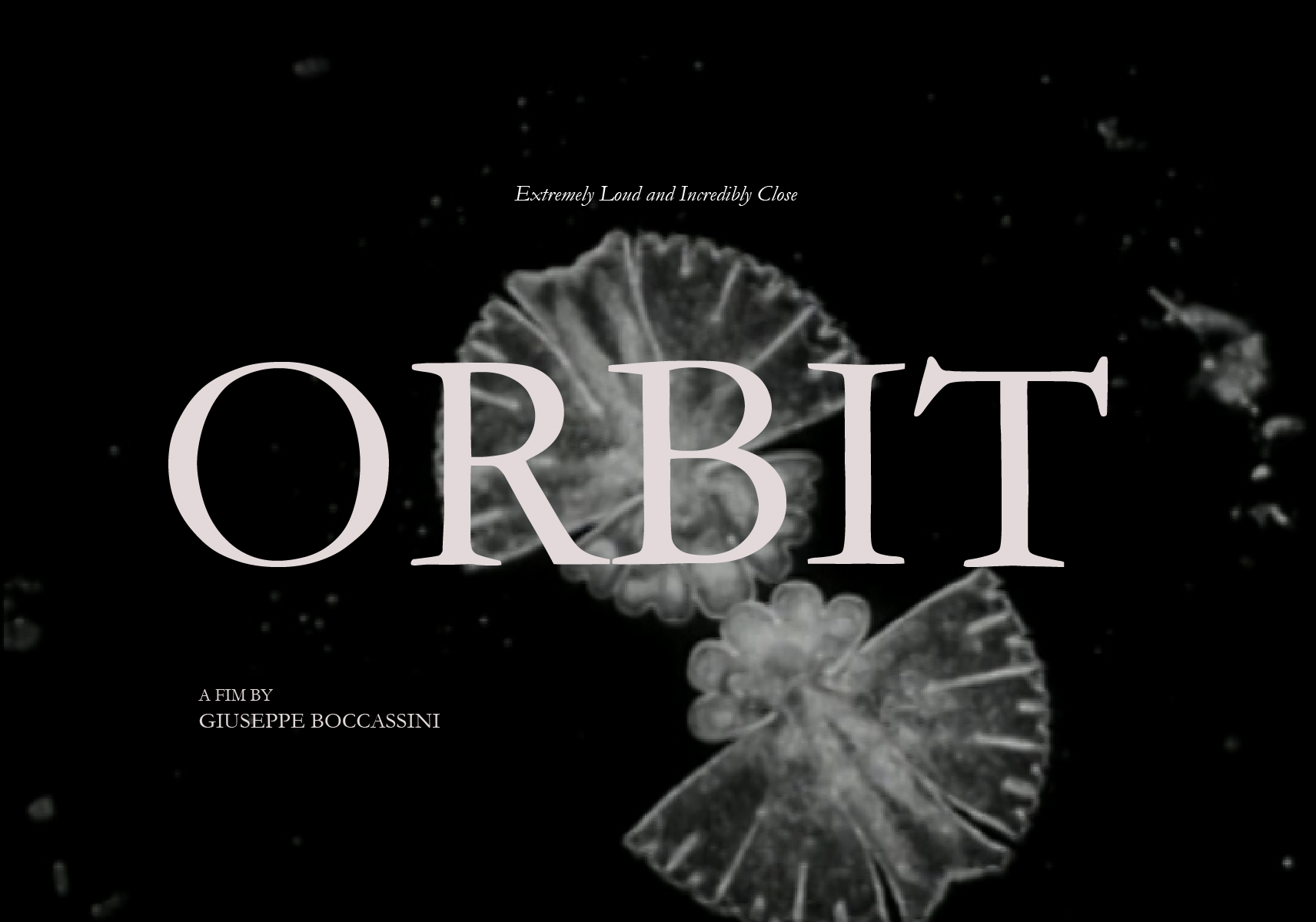 Orbit