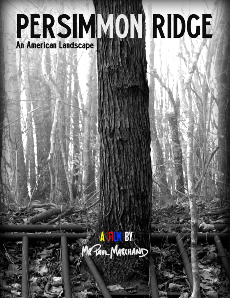 Persimmon Ridge: An American Landscape