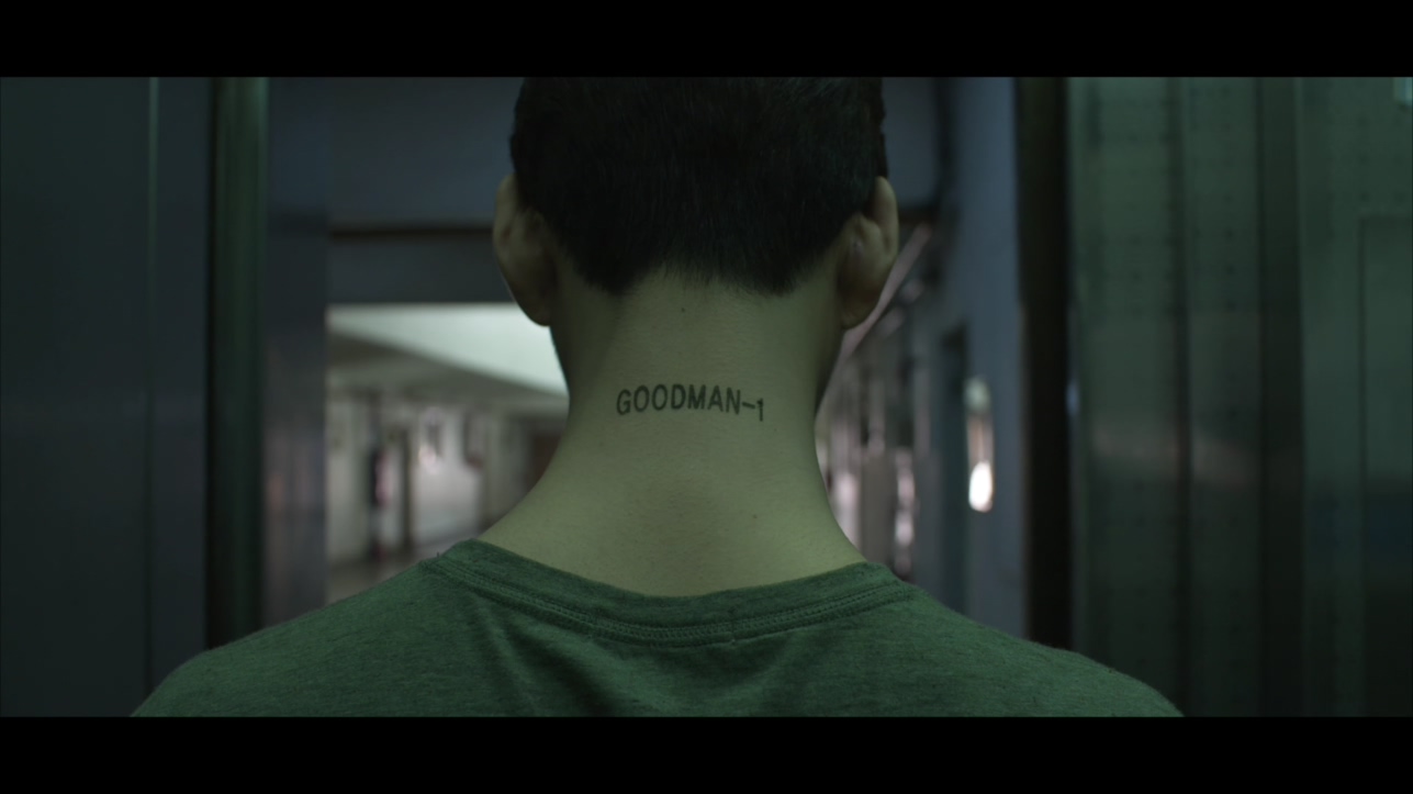 Goodman-1