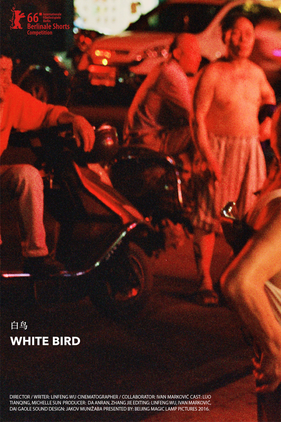 White Bird
