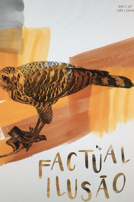Factual Ilusão