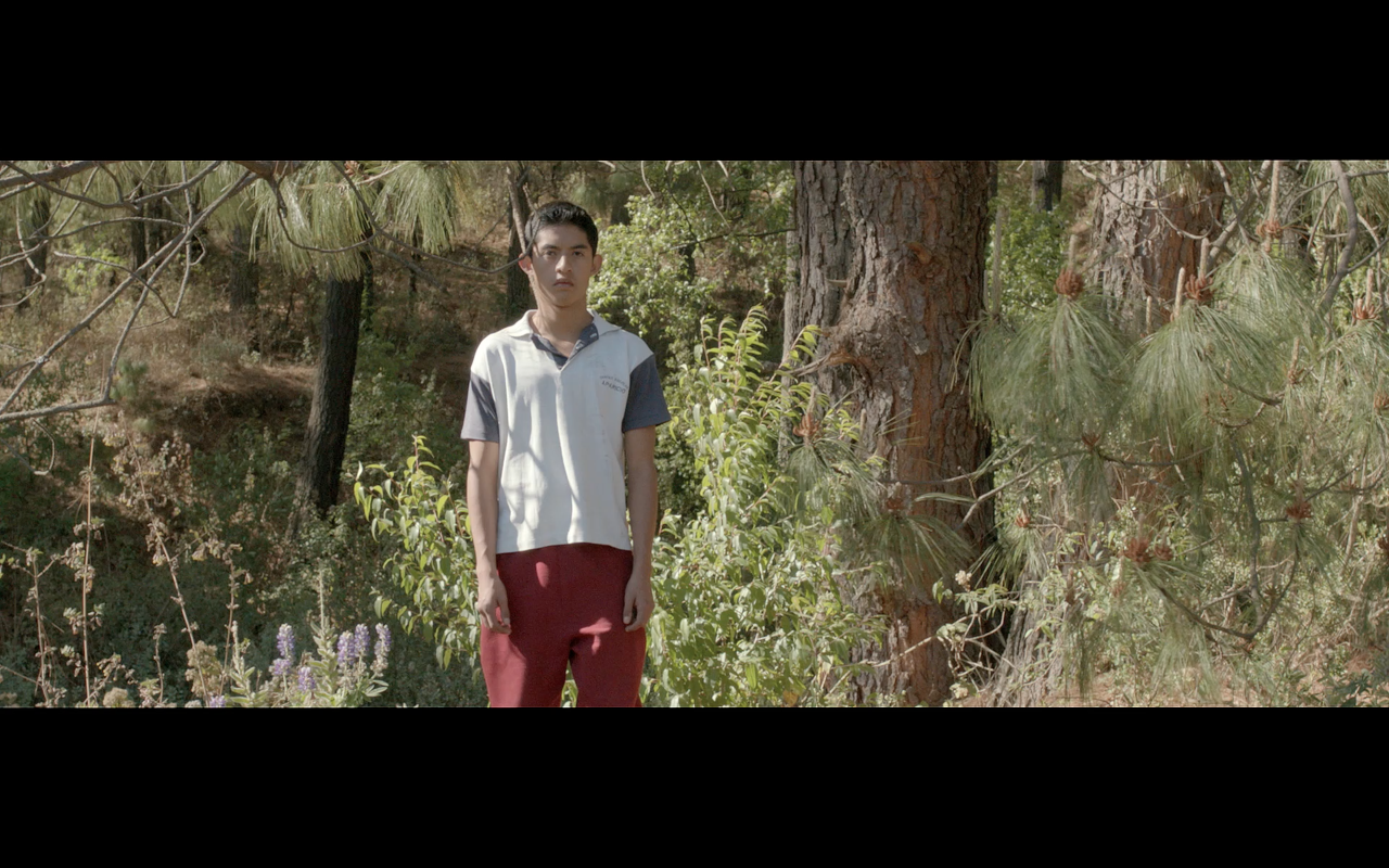 brillo de tus ojos se extinguirá con la oscuridad del mundo