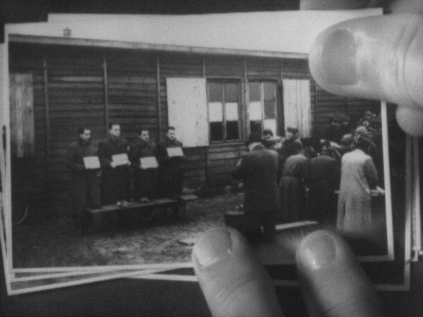 Compagni sconosciuti