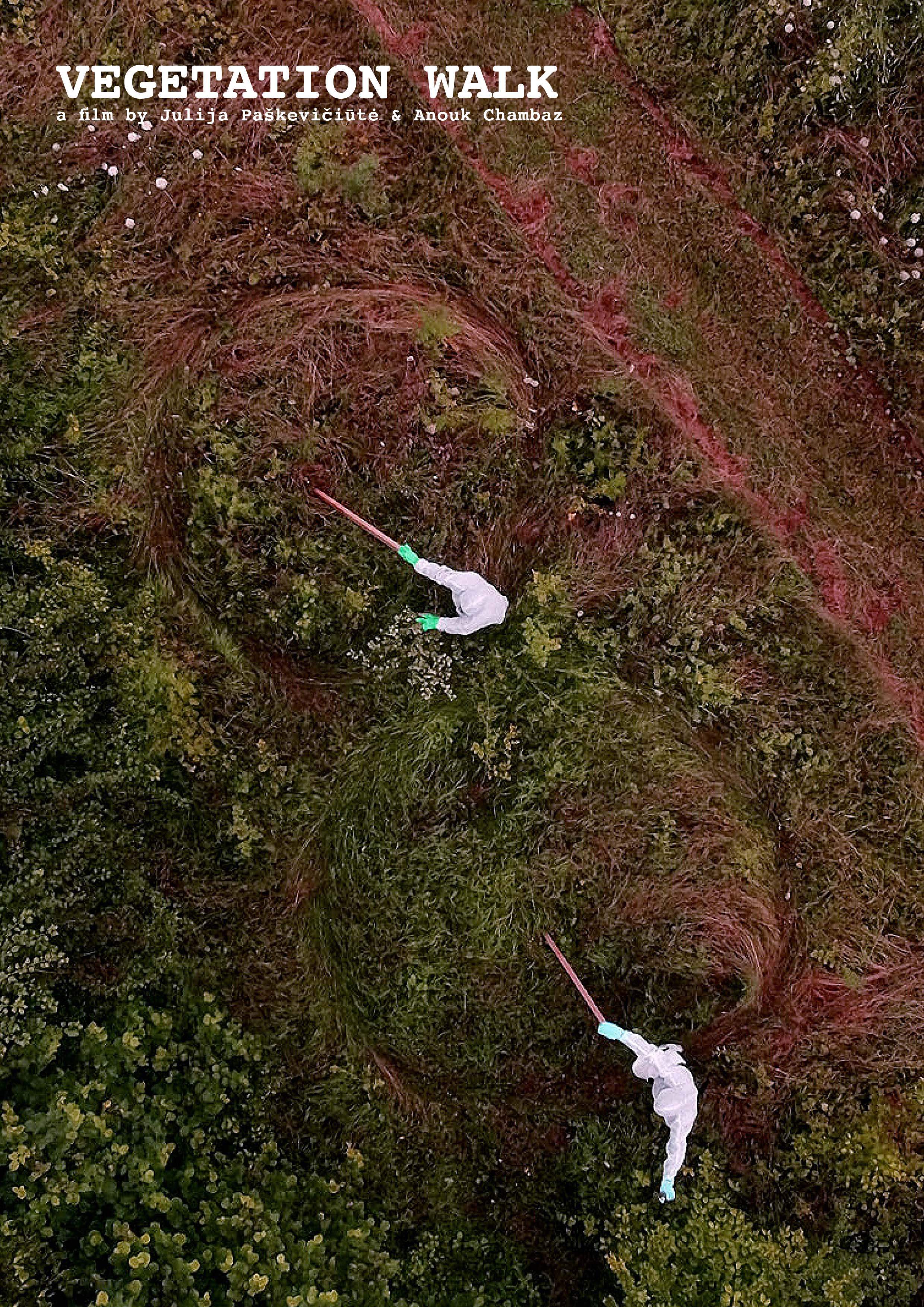 Vegetation Walk