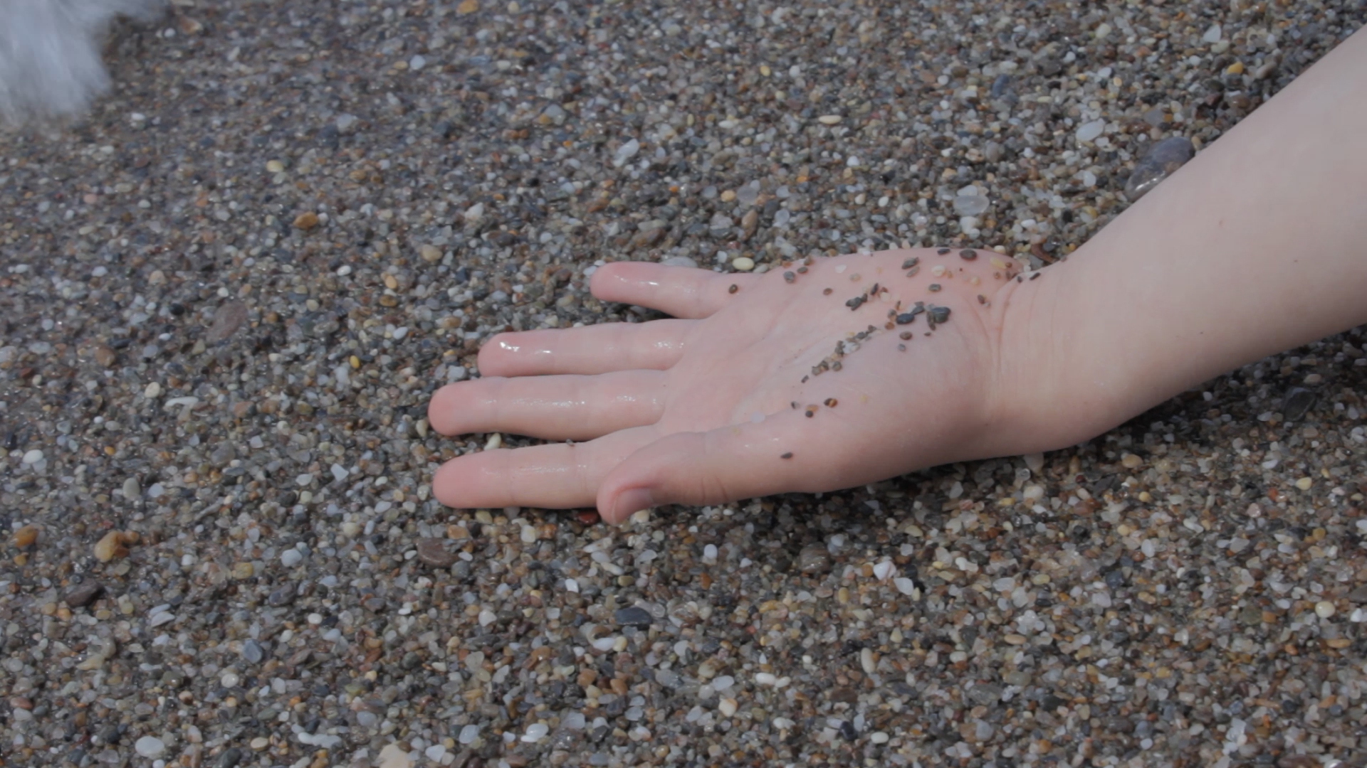 History Bleeds Under Your Fingernails