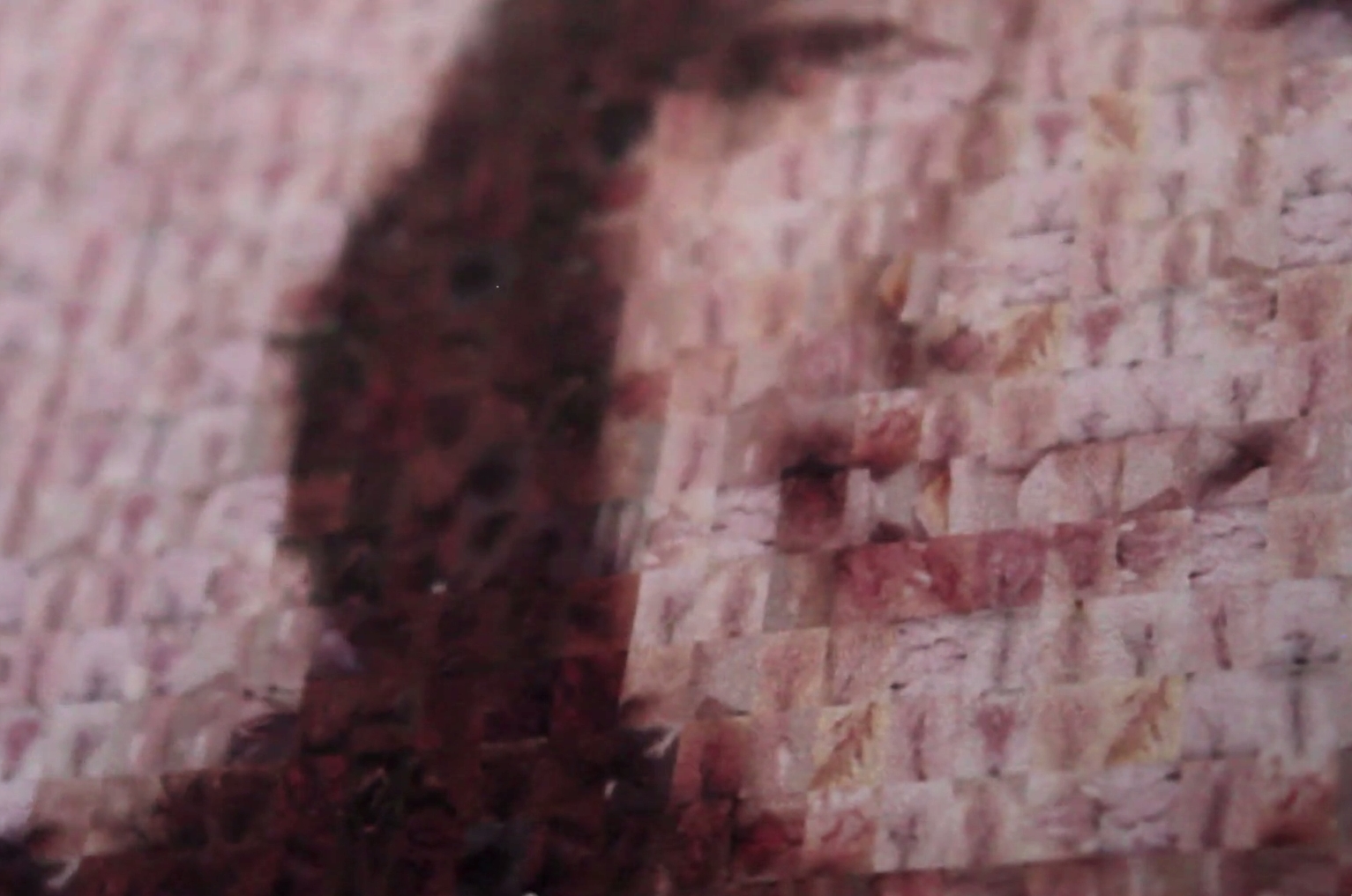 Caisa Viksten - Porträtt av en fitta