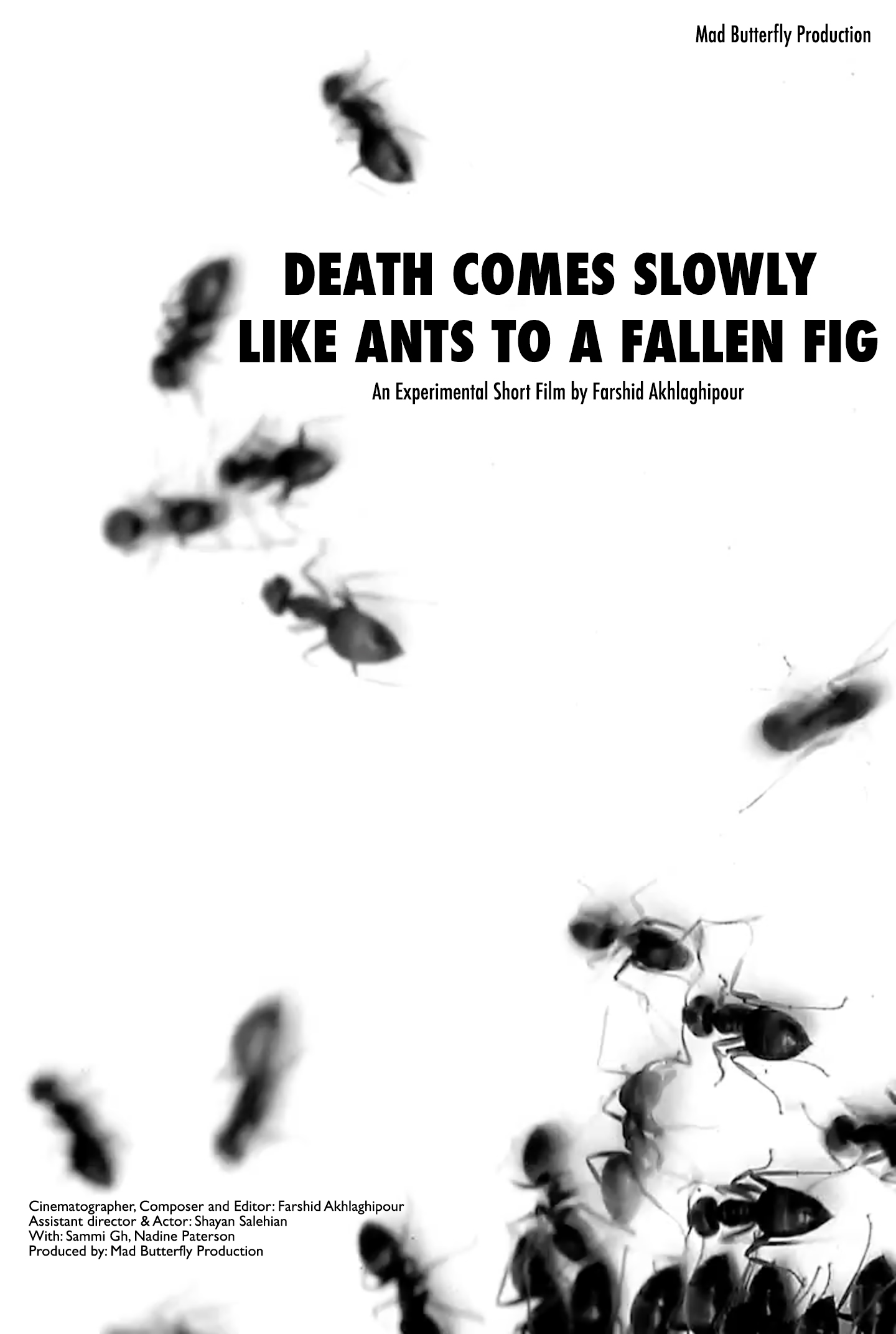Death Comes Slowly Like Ants to a Fallen Fig
