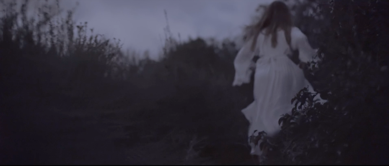 Veritas vos Liberabit