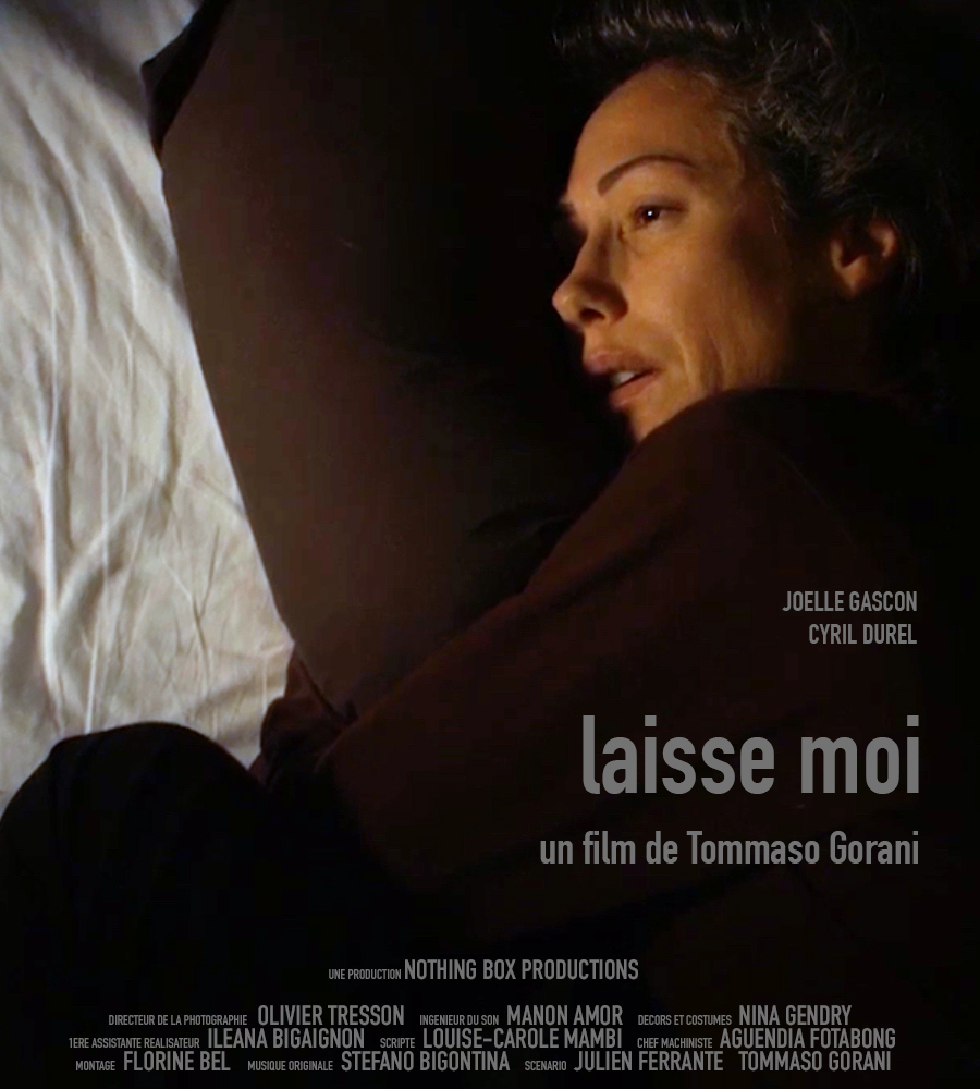 Laisse moi