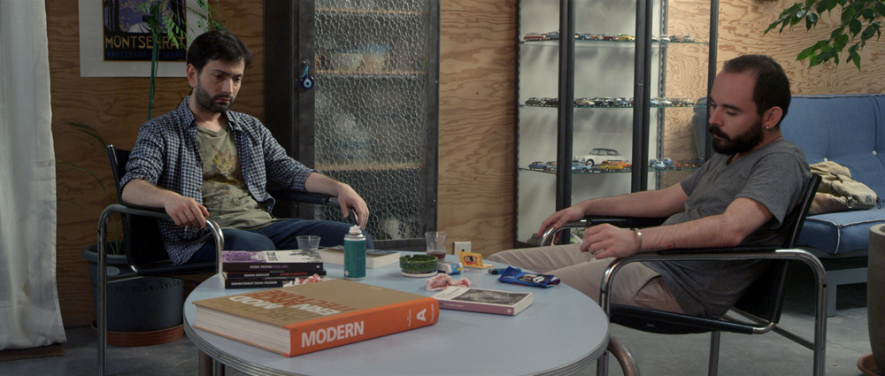 Invasion des insectes