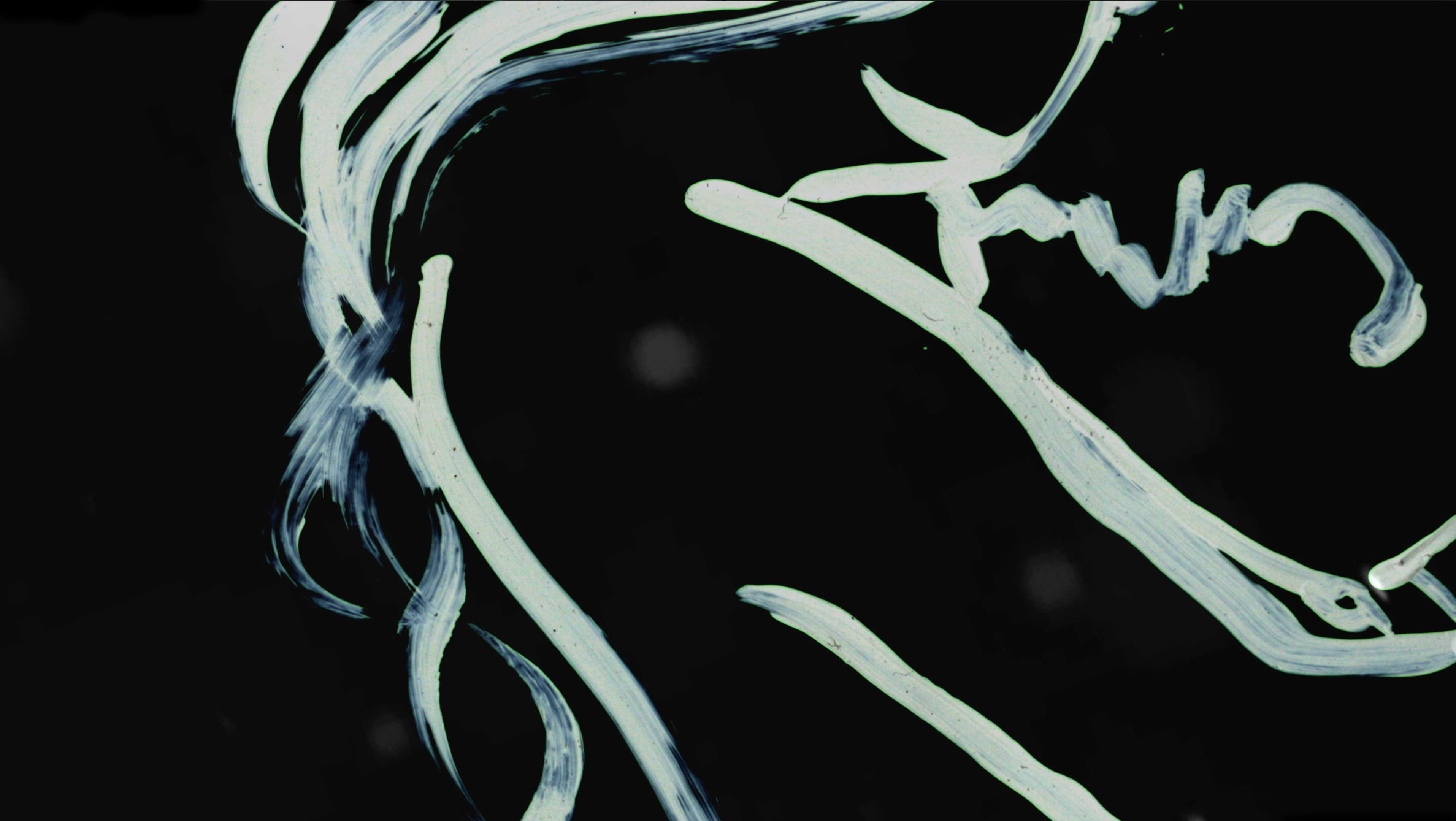 Brücke Uber Den Fluss