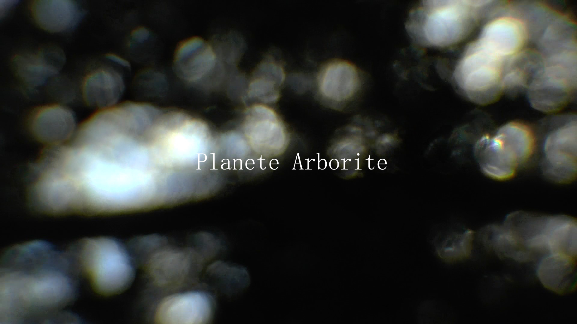 Planète Arborite