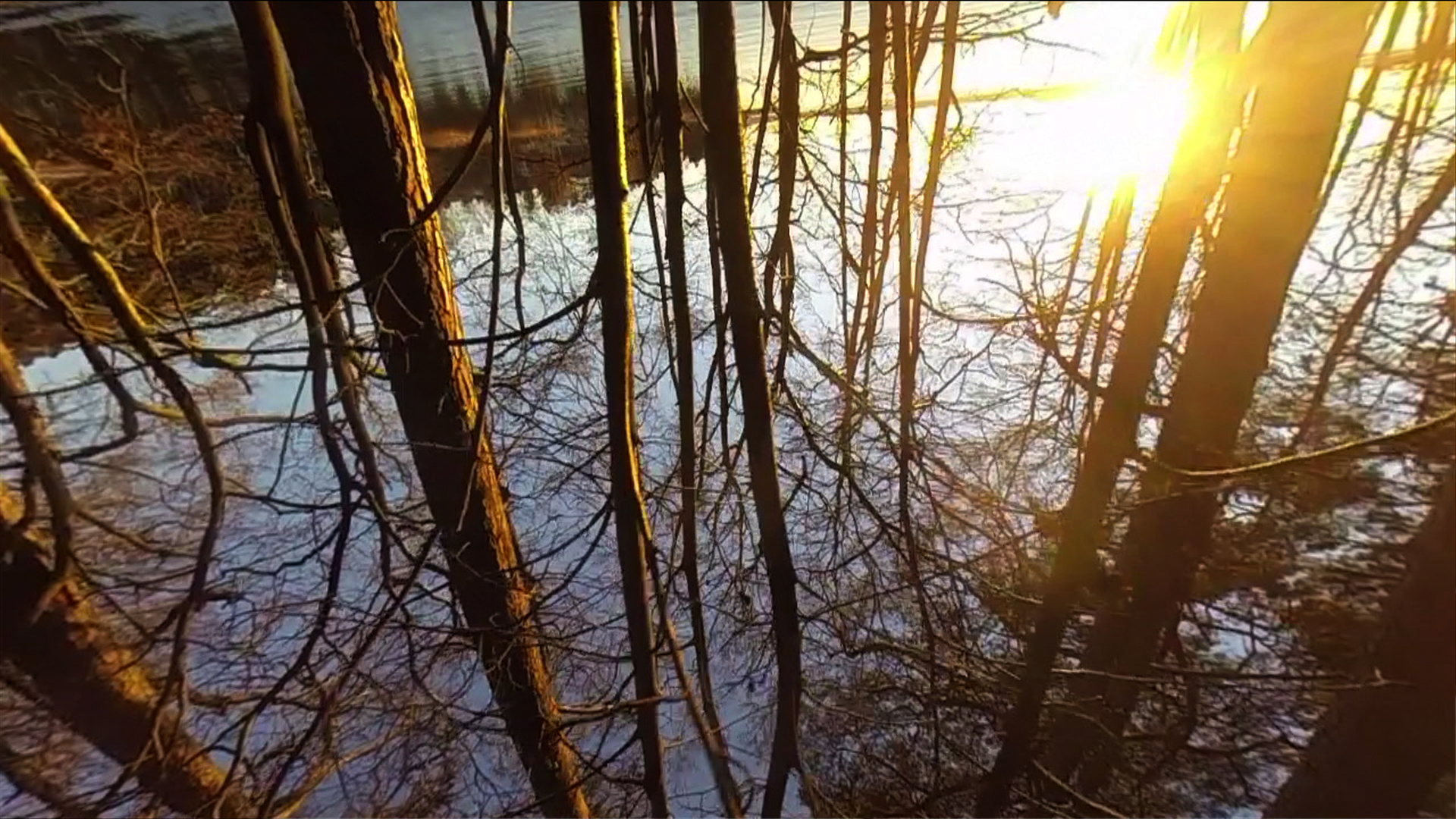 Making Art Video