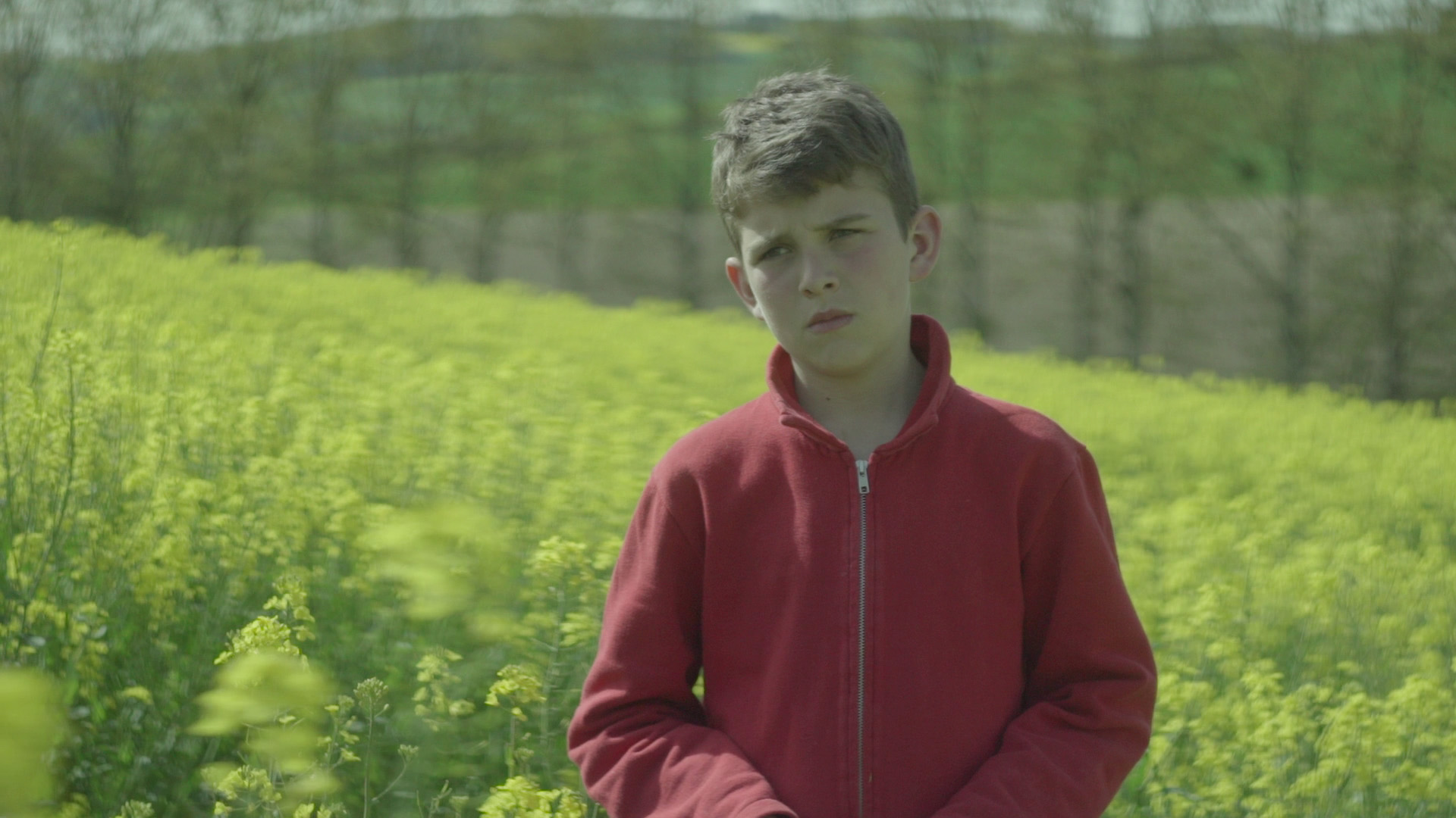 Stratégie de l'Autruche