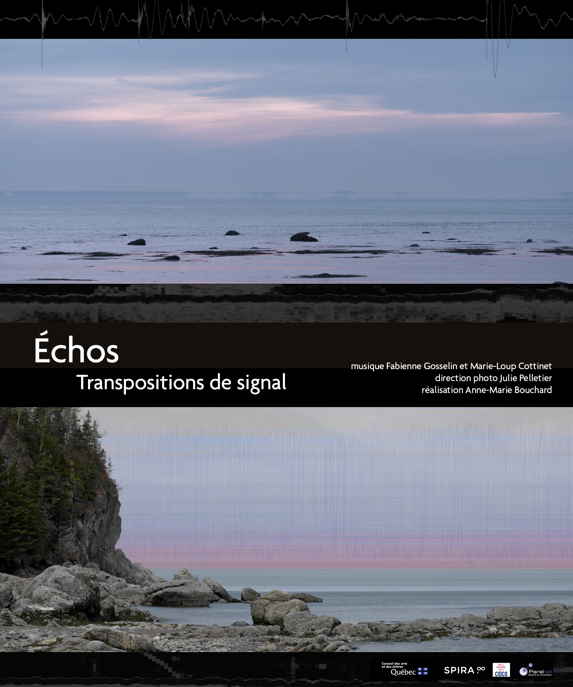 Échos - Transpositions de signal