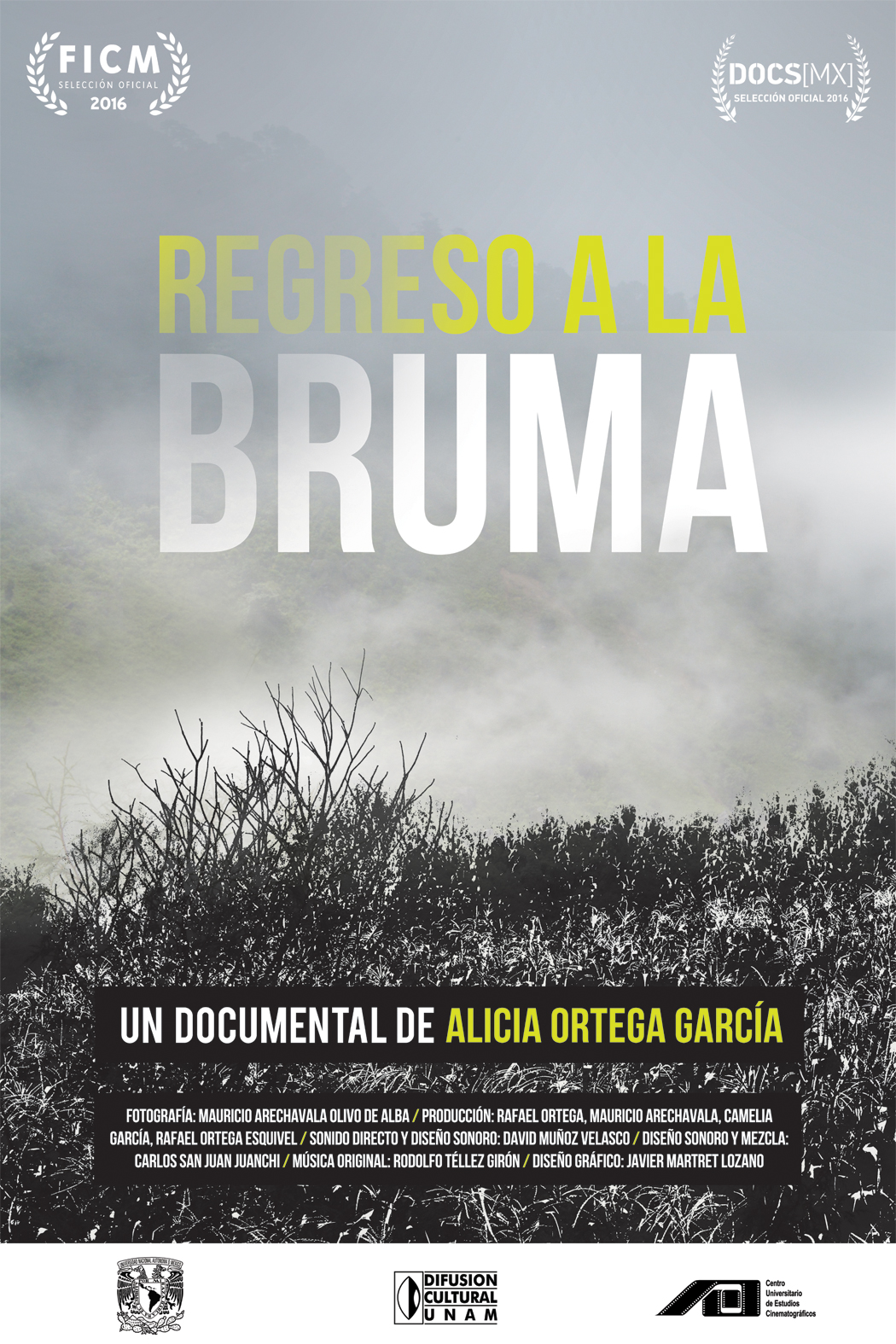 Regreso a la Bruma