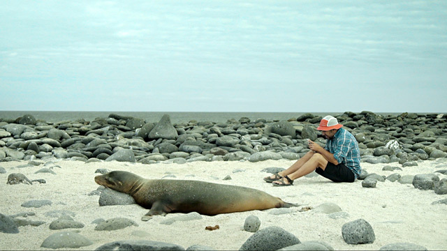 Working with Animals