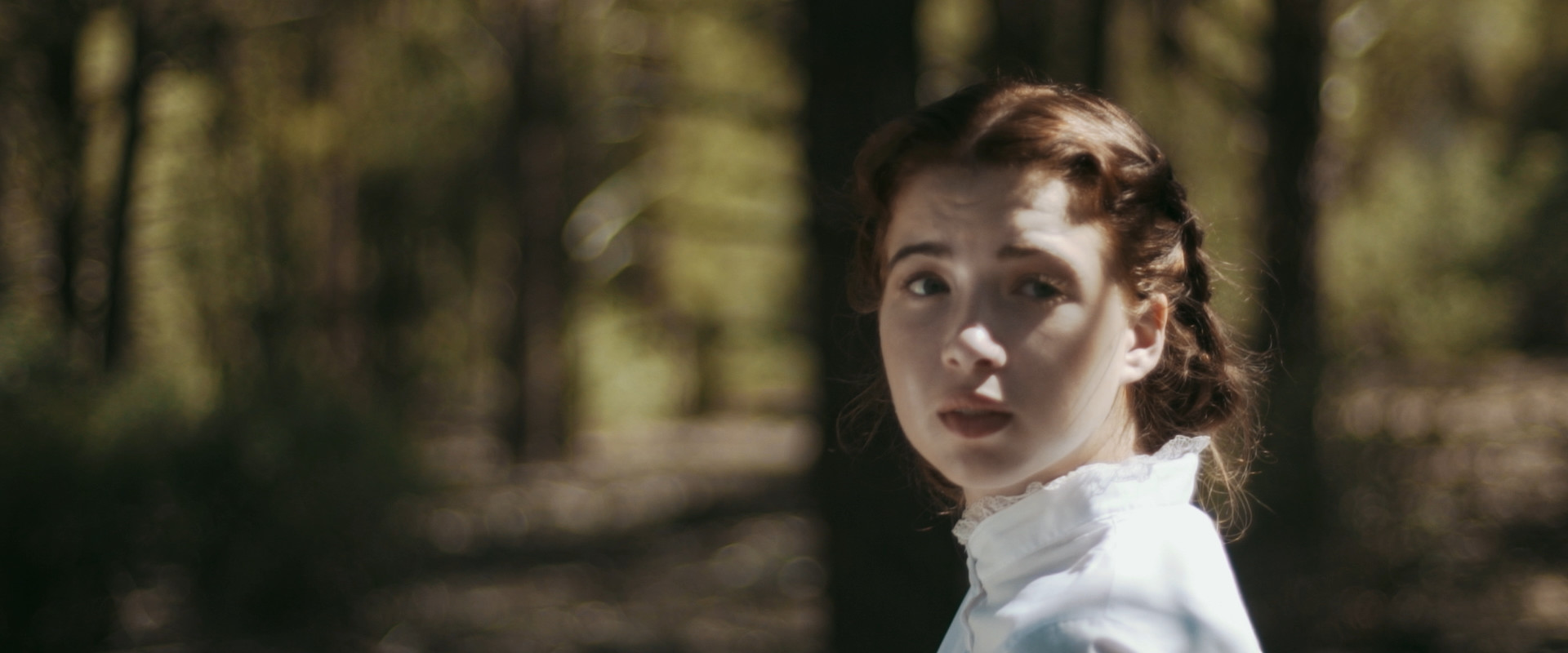 Strangers in the Woods