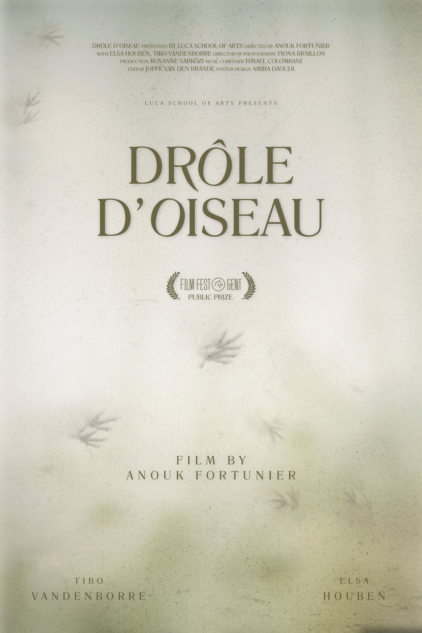 Drôle d'Oiseau
